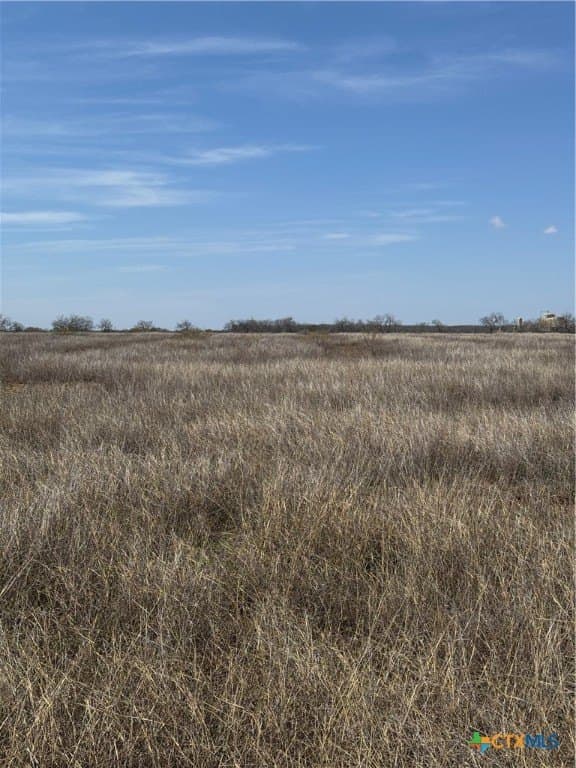 11 acres in Atascosa County gallery image 4
