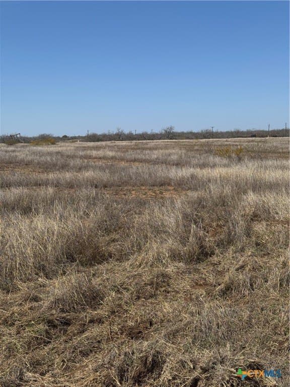 11 acres in Atascosa County gallery image 3