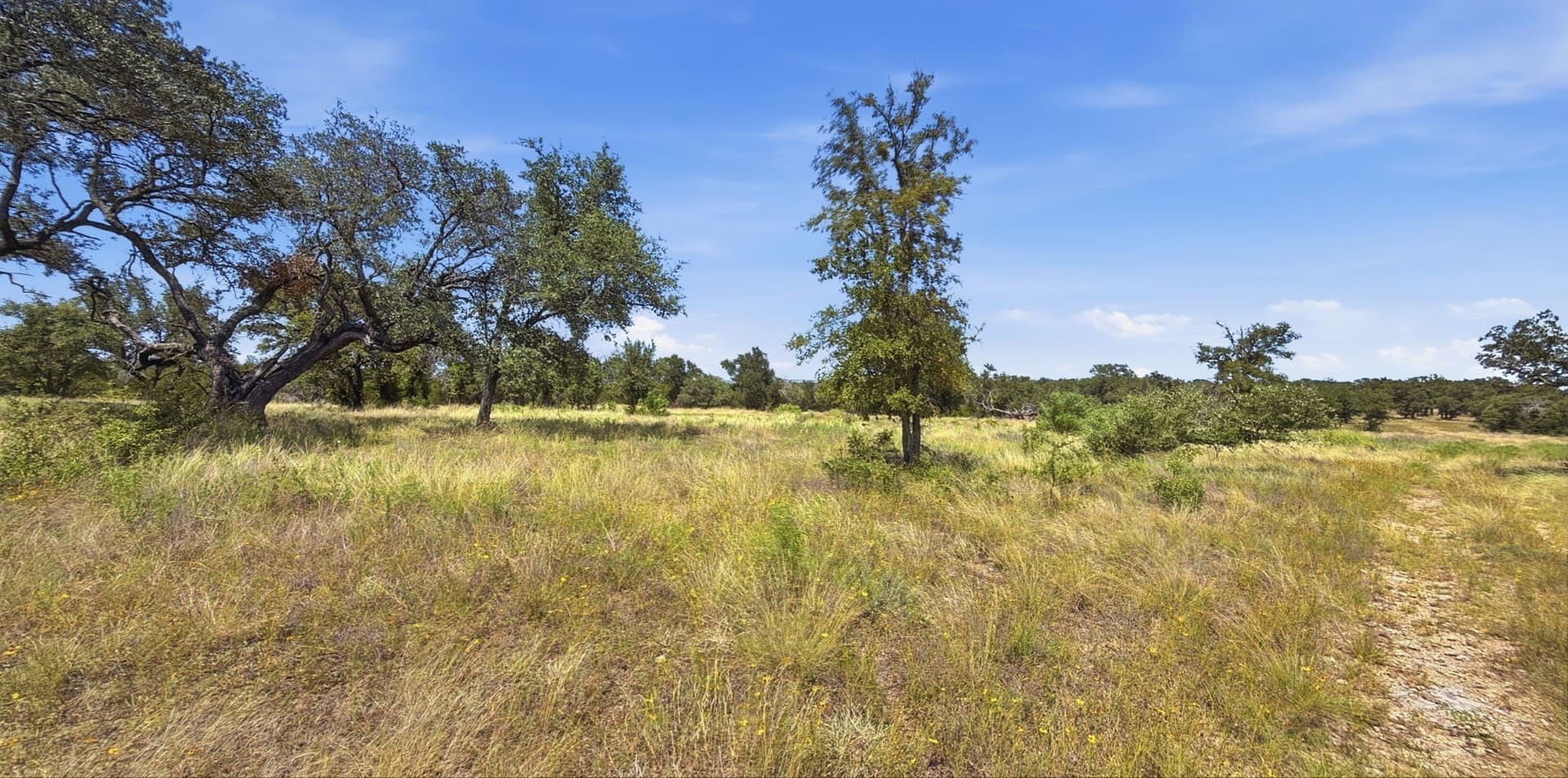 151 acres in Hamilton County - photo 4