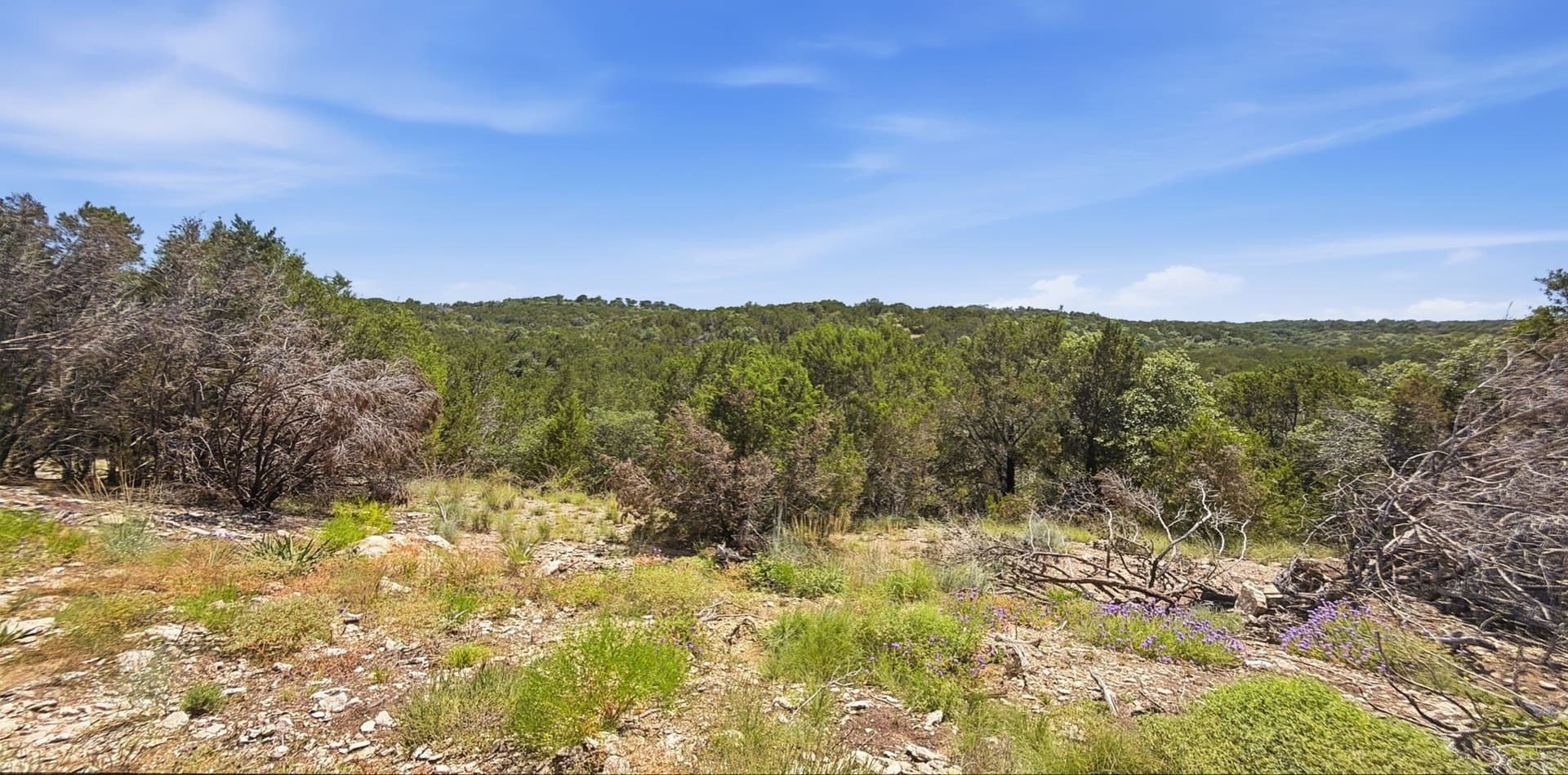 151 acres in Hamilton County - photo 12
