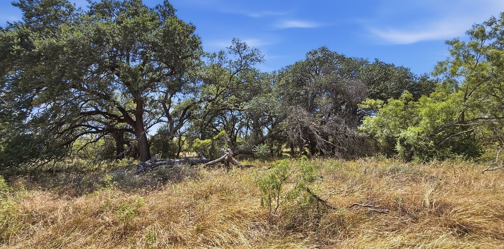151 acres in Hamilton County - photo 3