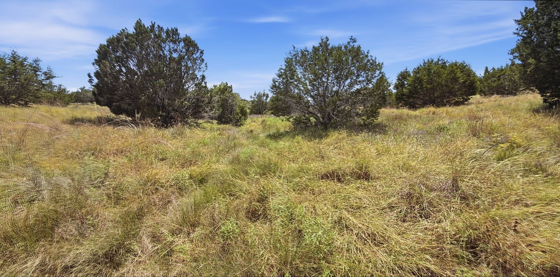 151 acres in Hamilton County - photo 8