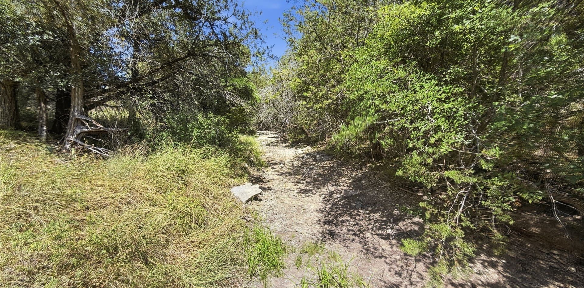 151 acres in Hamilton County - photo 14