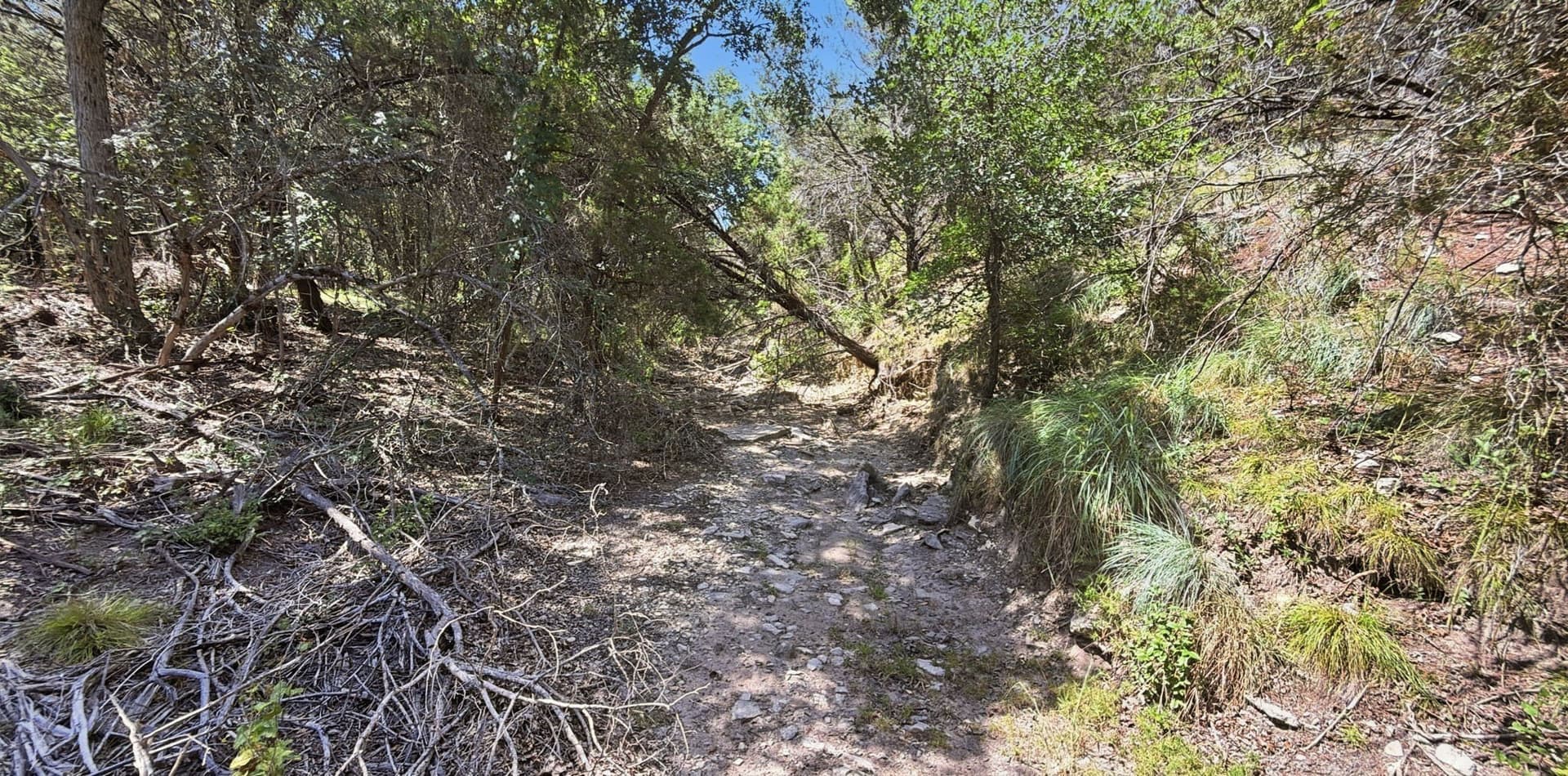 151 acres in Hamilton County - photo 11