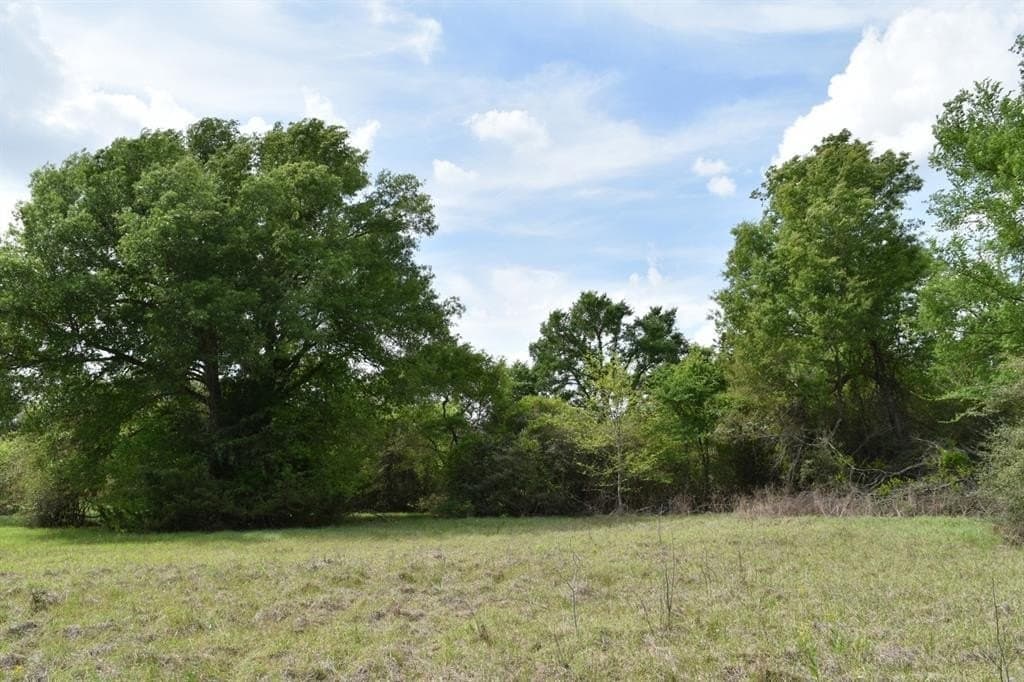 54.17 acres in Limestone County featured view