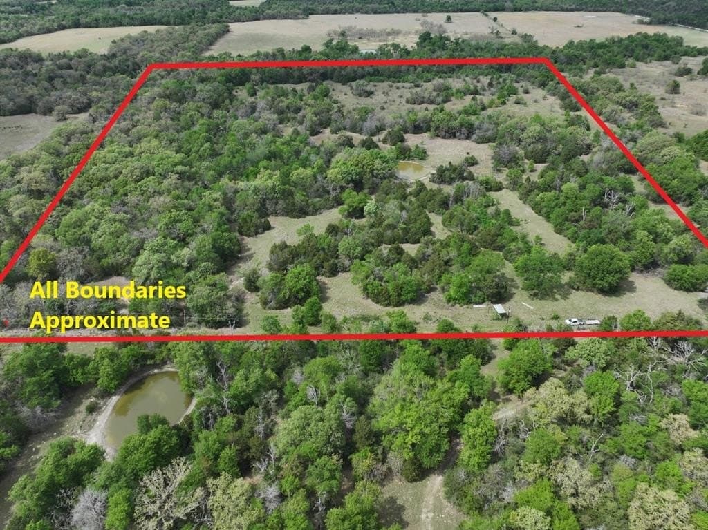 54.17 acres in Limestone County