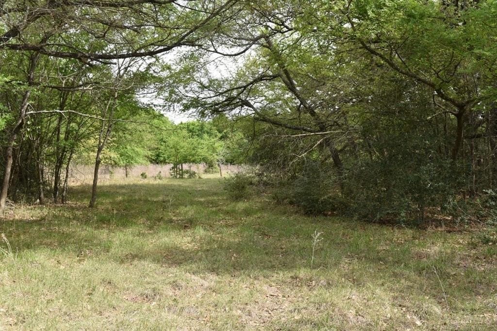 54.17 acres in Limestone County gallery image 2