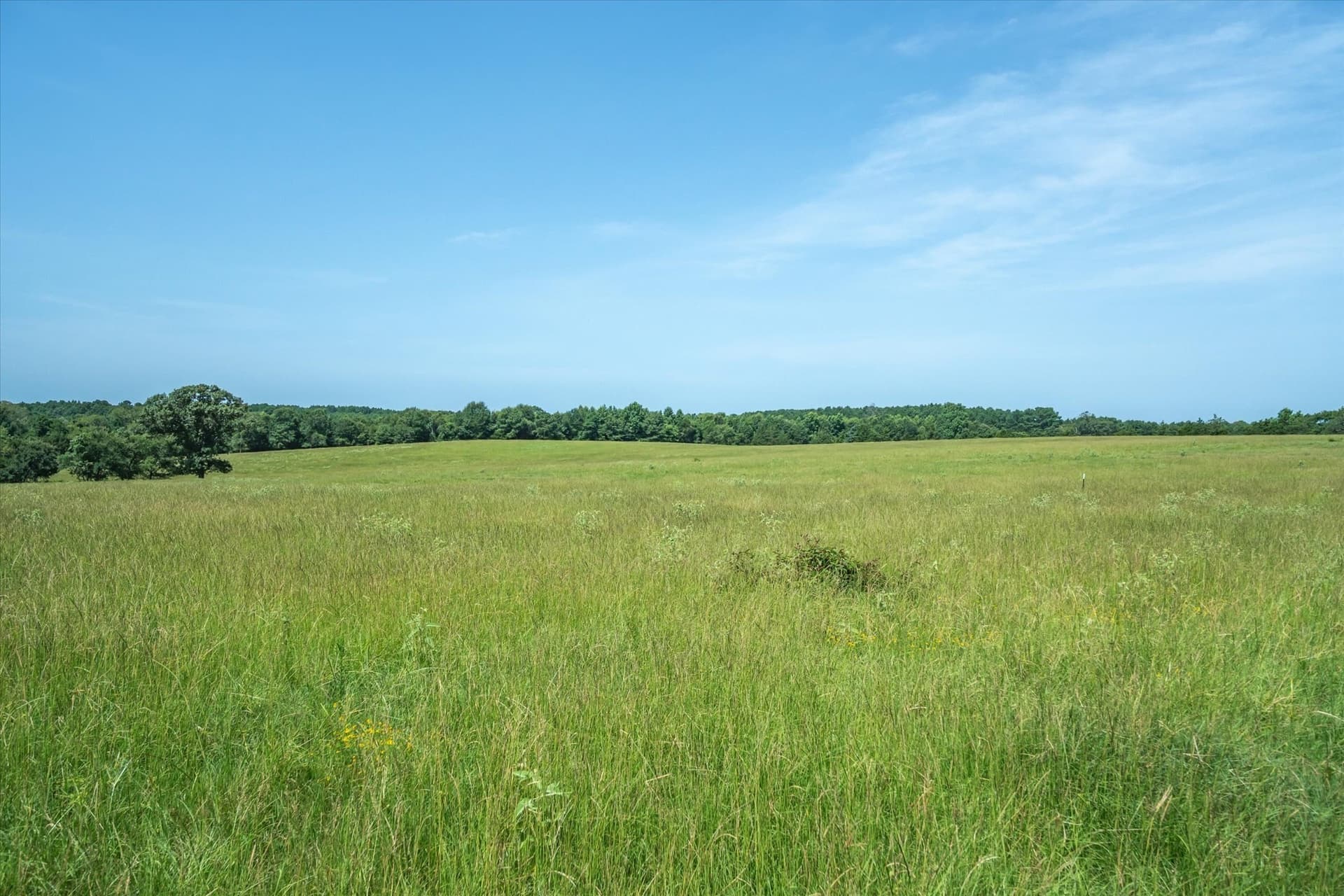 122 acres in Cherokee County - photo 32