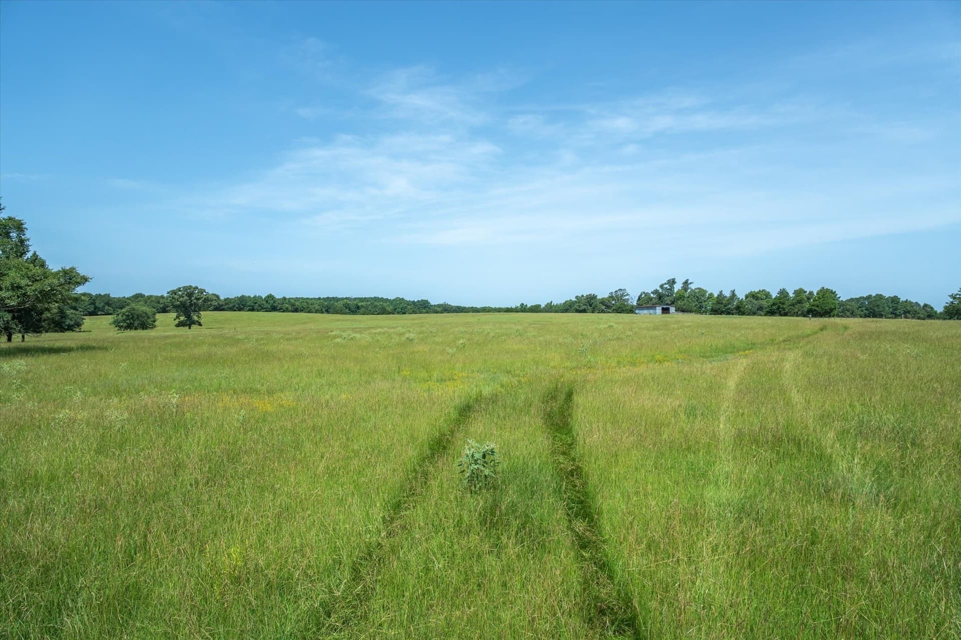 122 acres in Cherokee County - photo 31