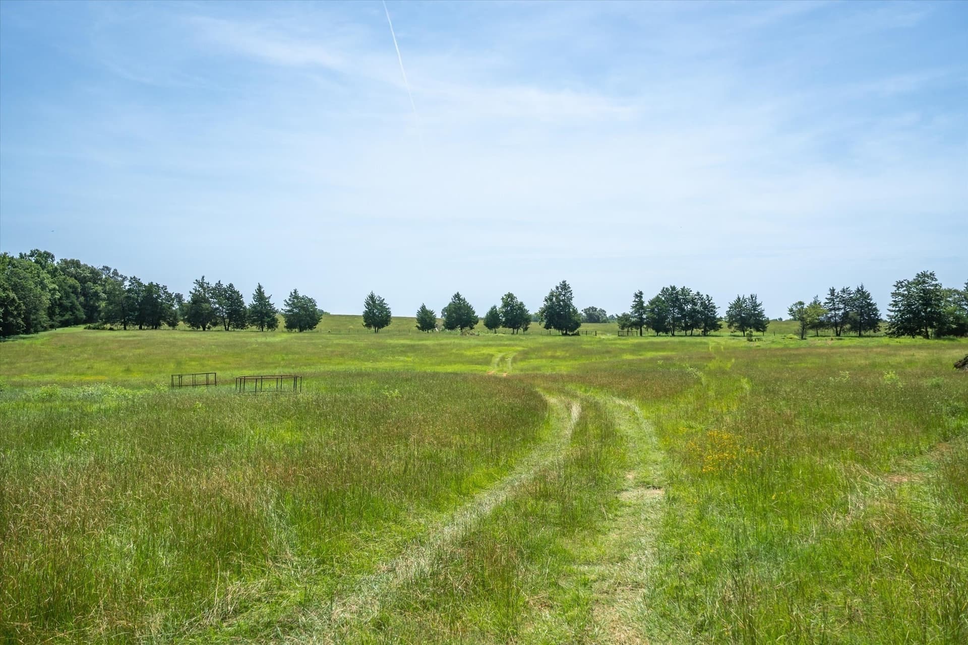 122 acres in Cherokee County gallery image 4