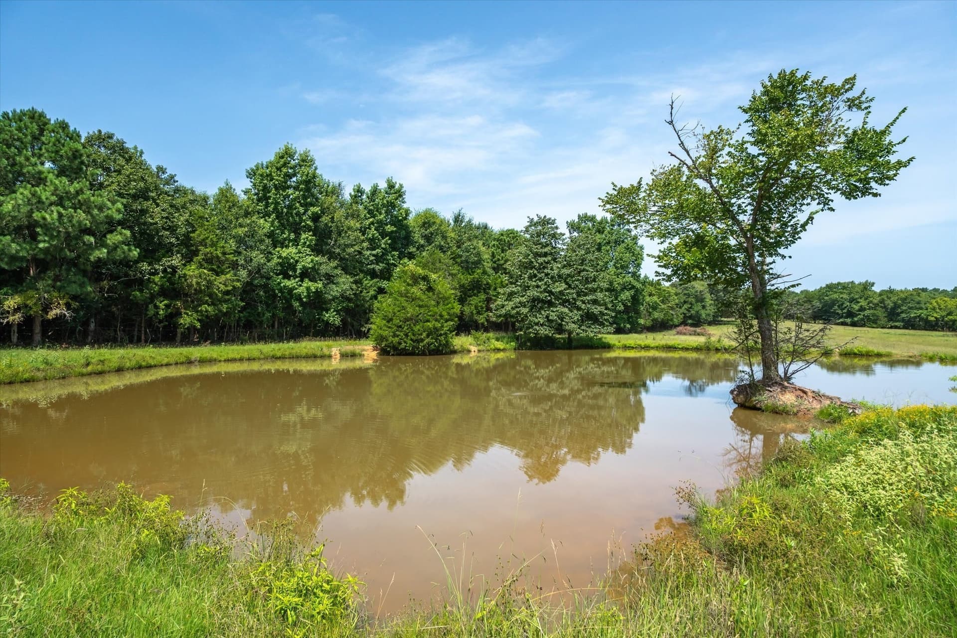 122 acres in Cherokee County - photo 6