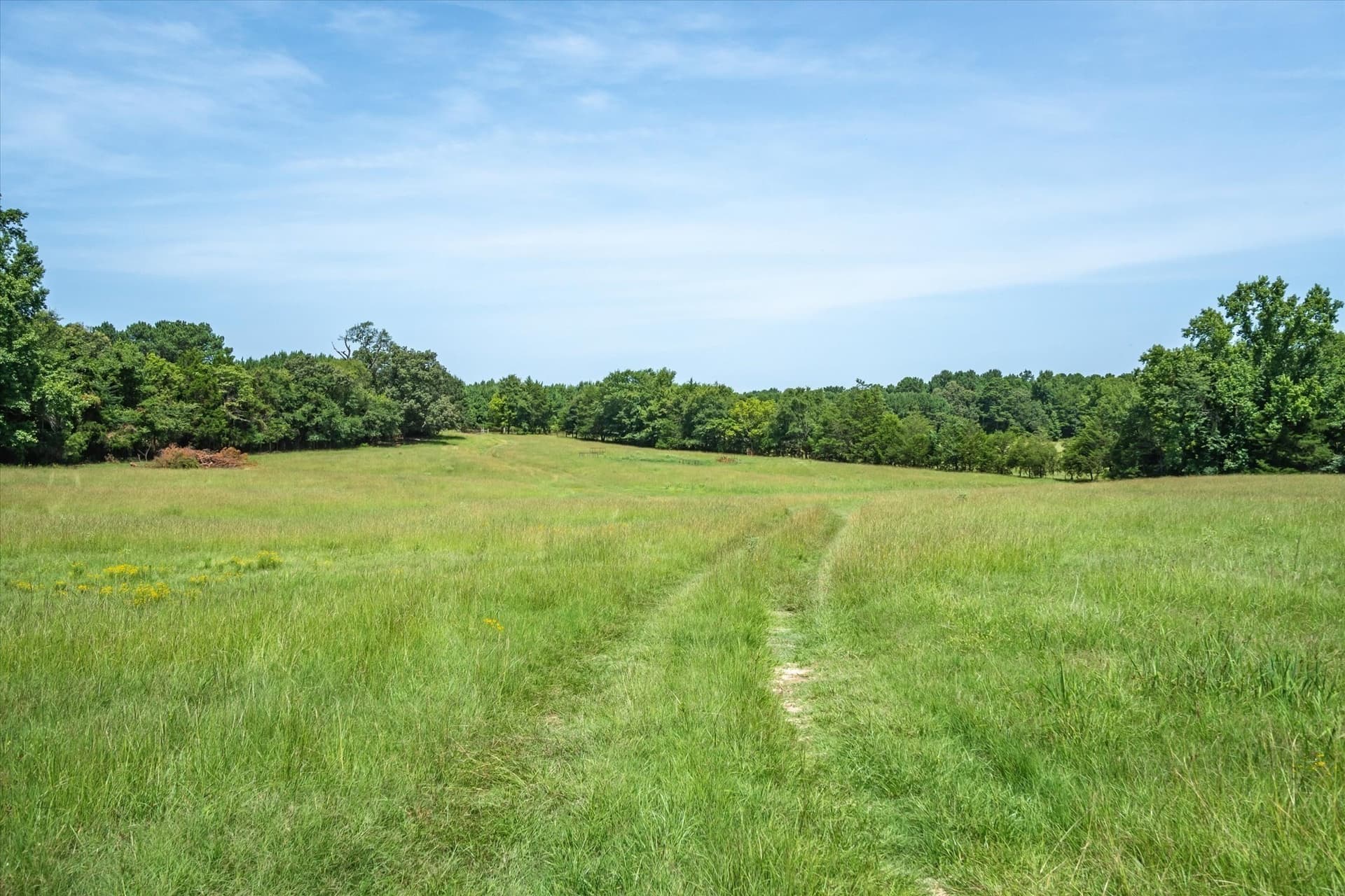 122 acres in Cherokee County - photo 40