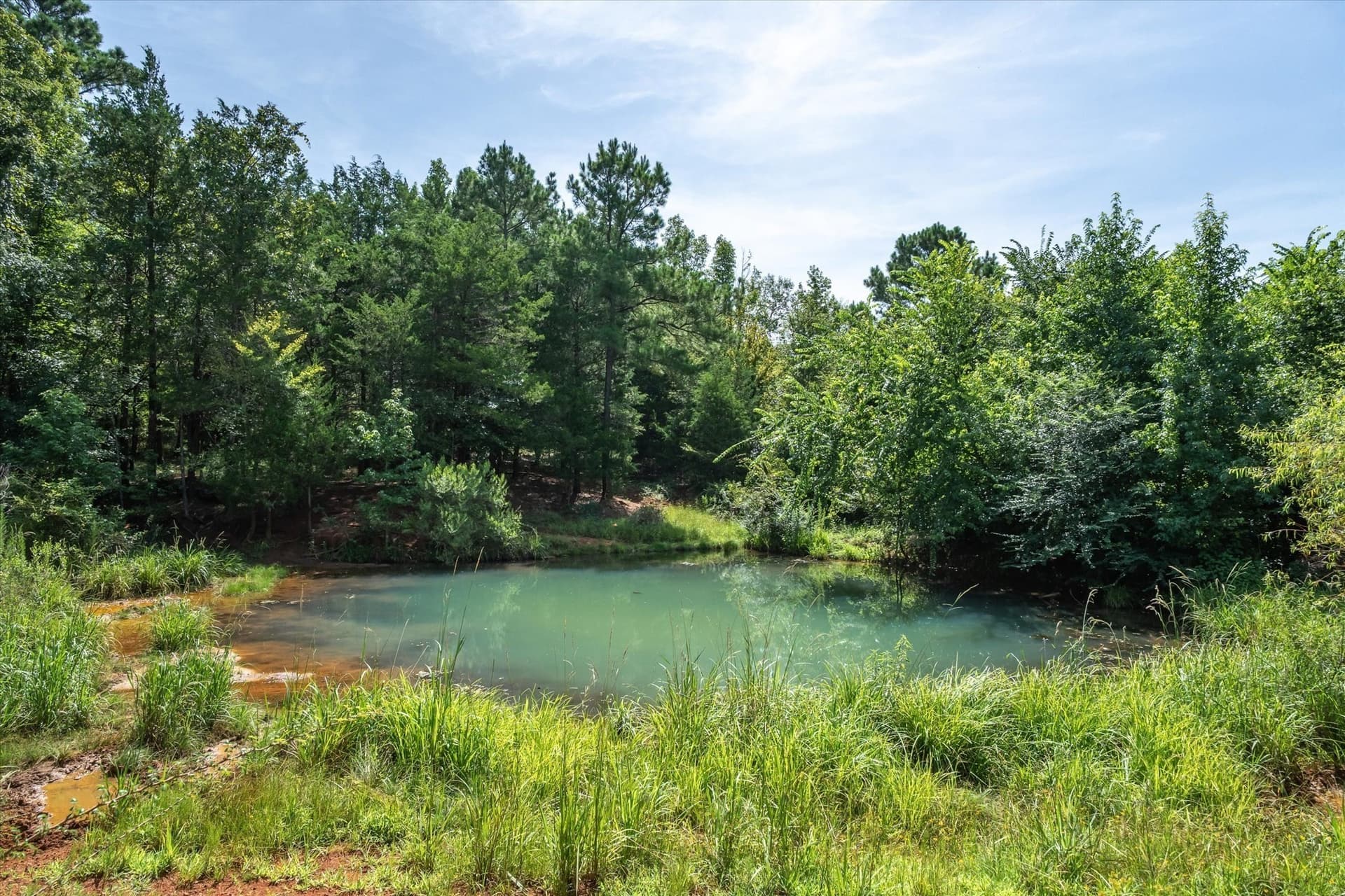 122 acres in Cherokee County - photo 20
