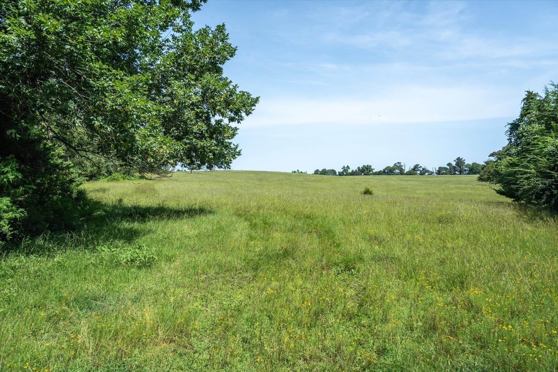 122 acres in Cherokee County - photo 29