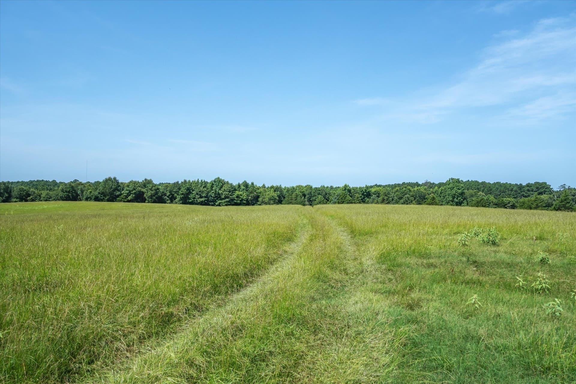 122 acres in Cherokee County - photo 19