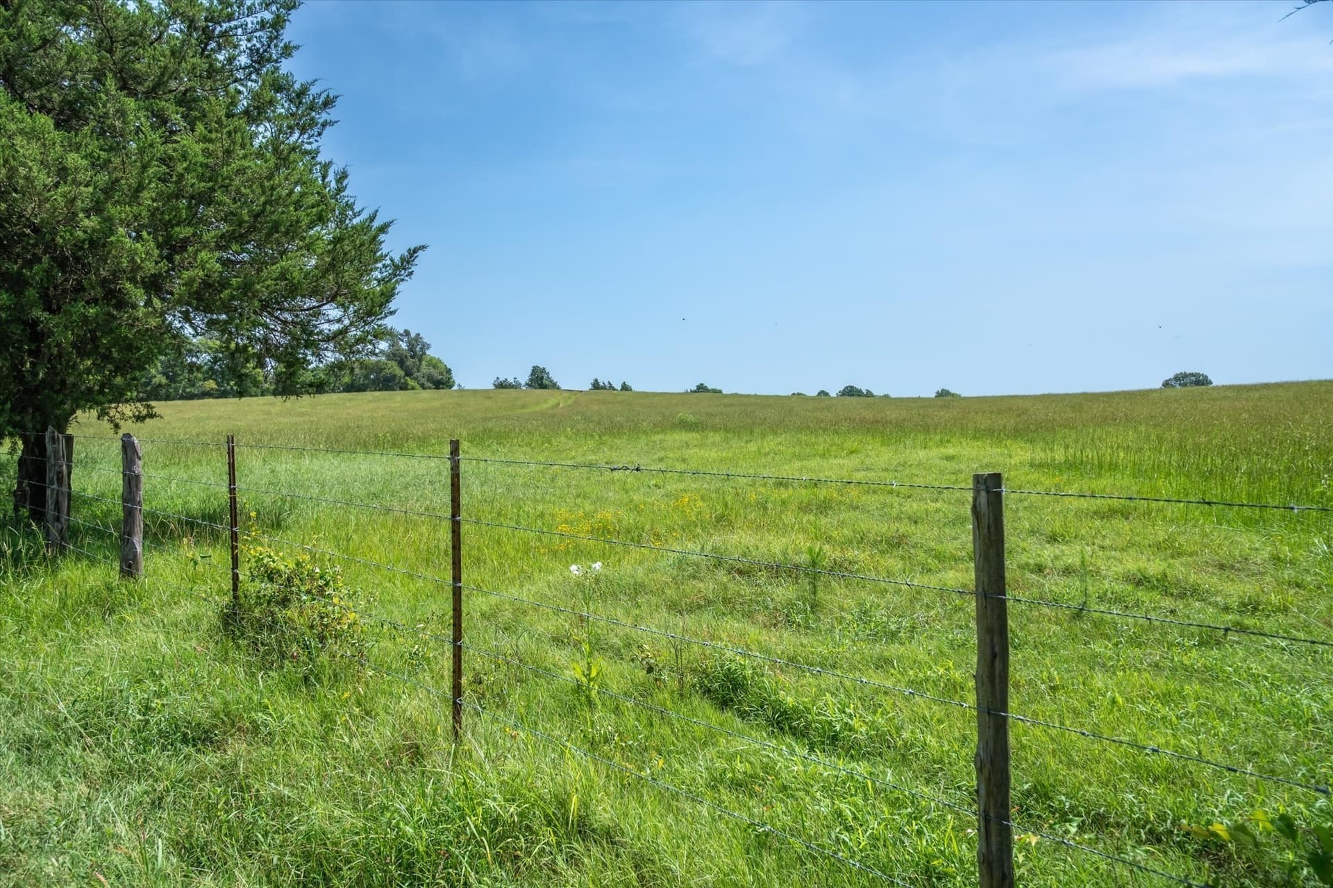 122 acres in Cherokee County - photo 27