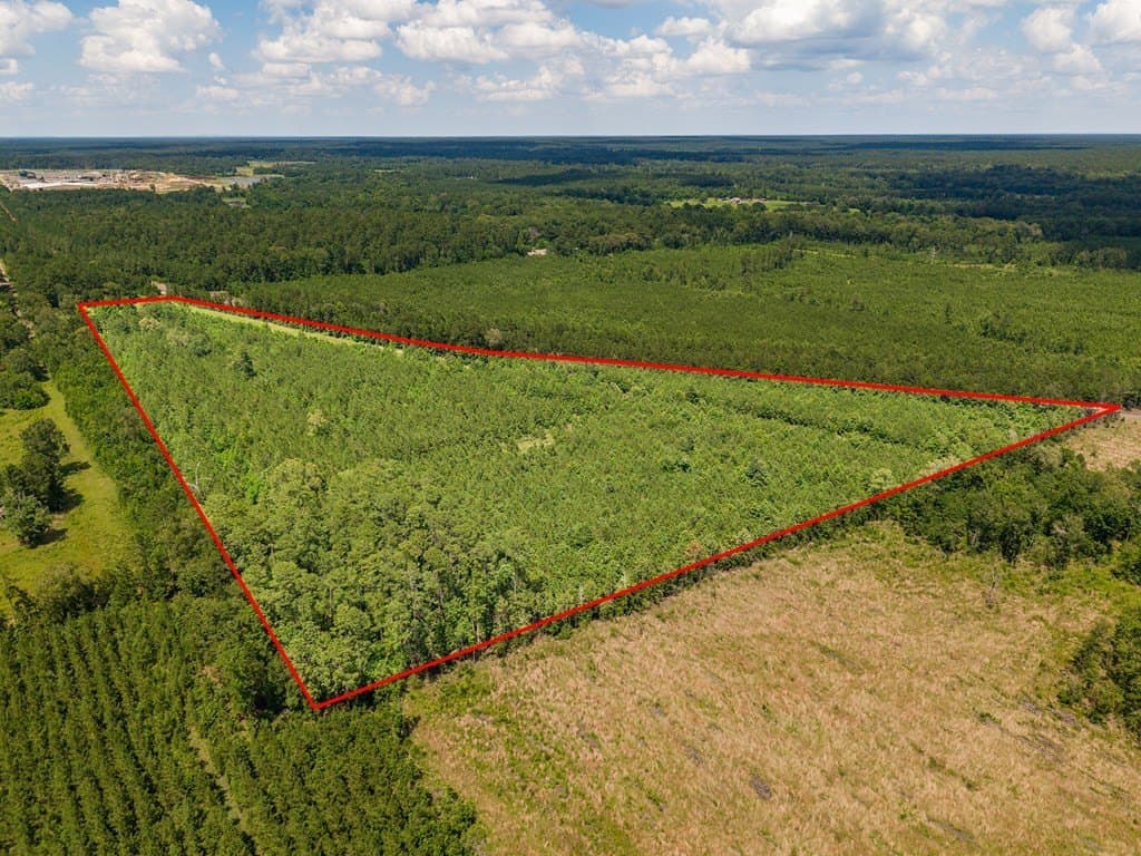 17.94 acres in Texas County gallery image 4