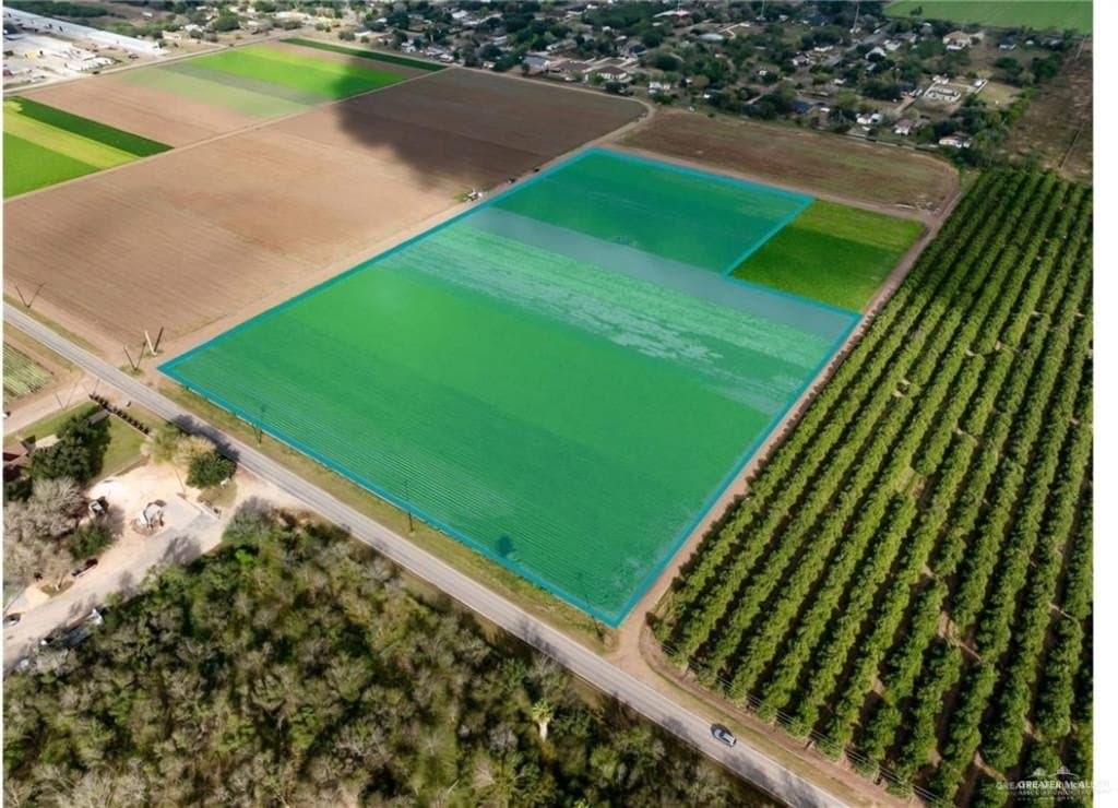 11.86 acres in Hidalgo County gallery image 2