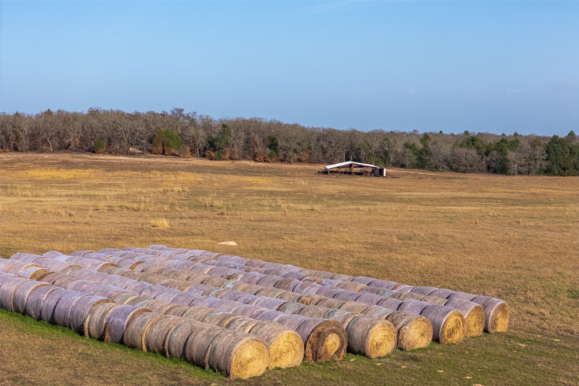 76.34 acres in Henderson County - photo 39