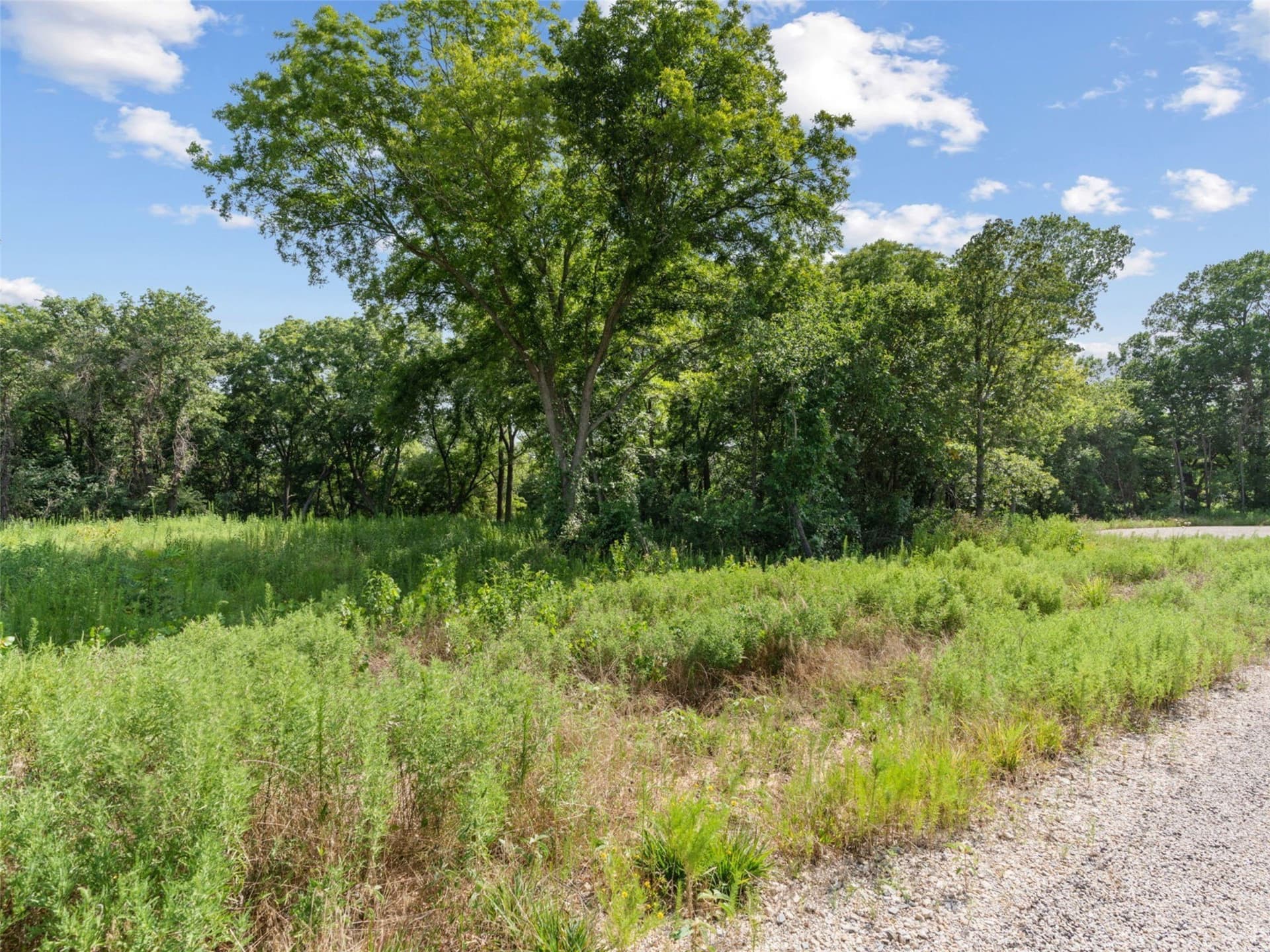 2.36 acres in Parker County - photo 11