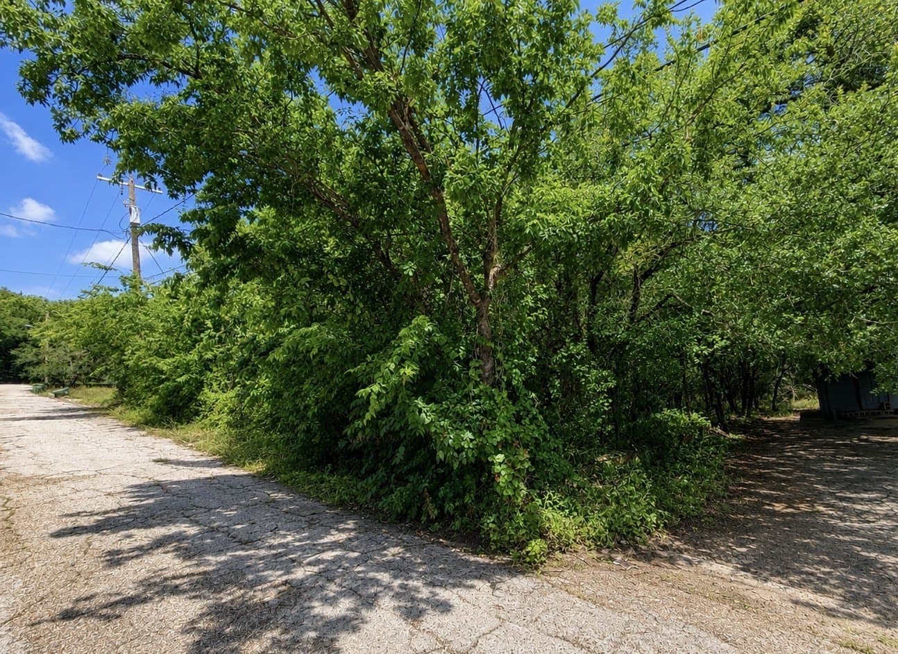 0.32 acres in Palo Pinto County - photo 3