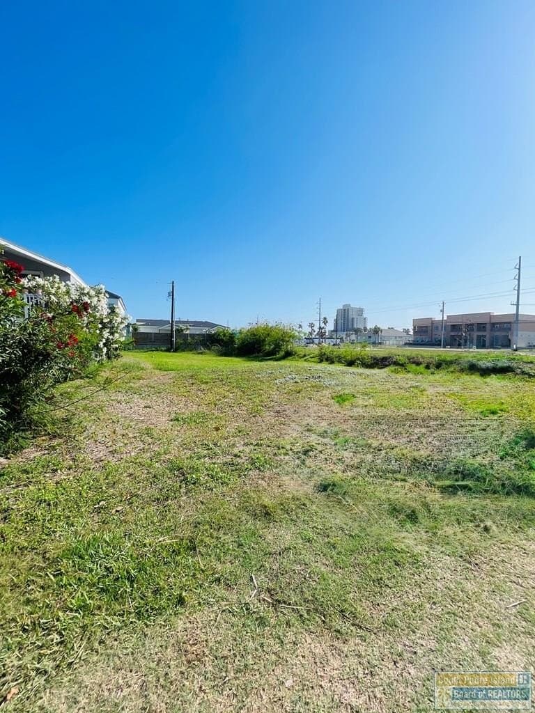 0 acres in Cameron County gallery image 3