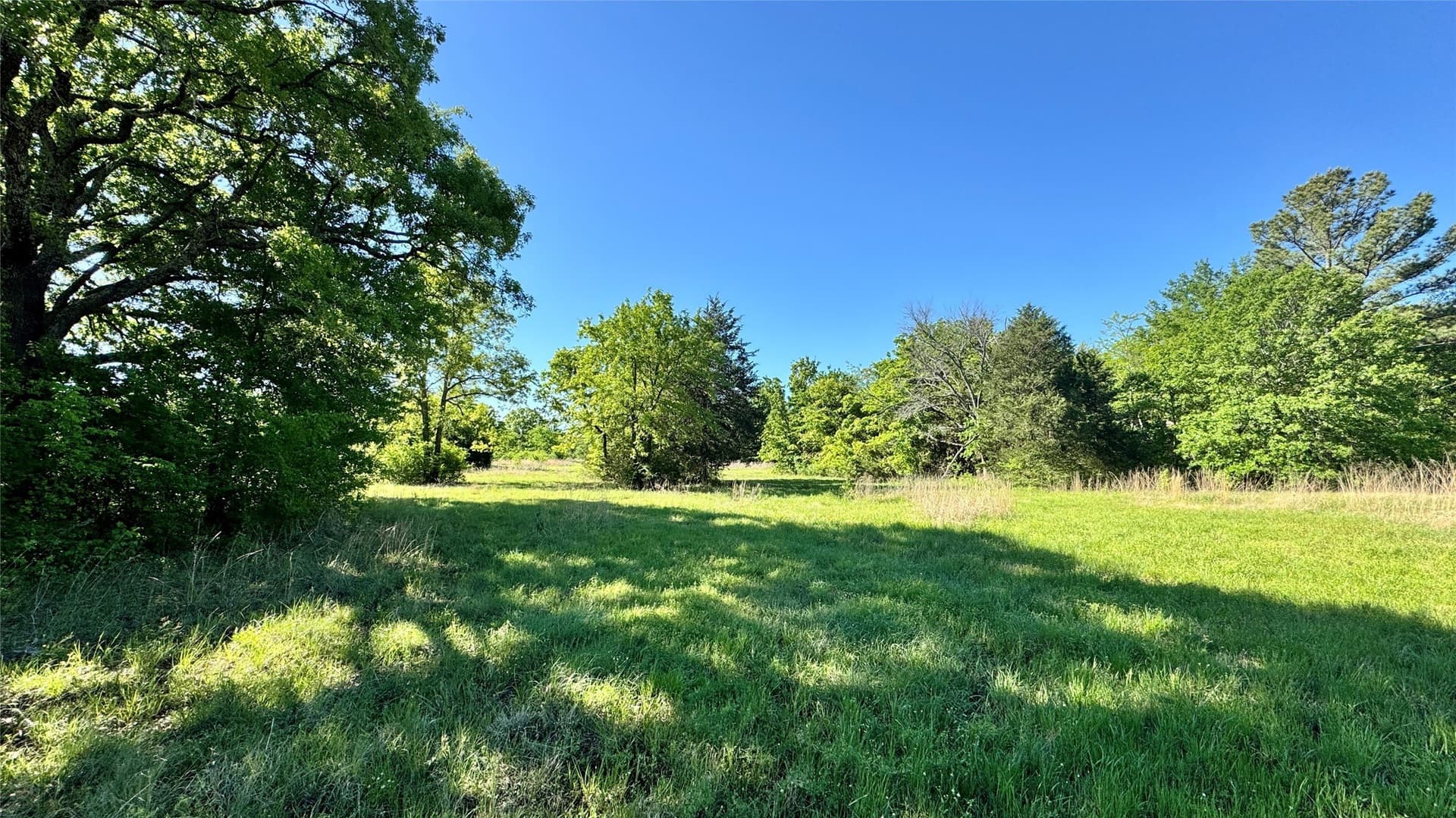 43 acres in Hunt County - photo 7