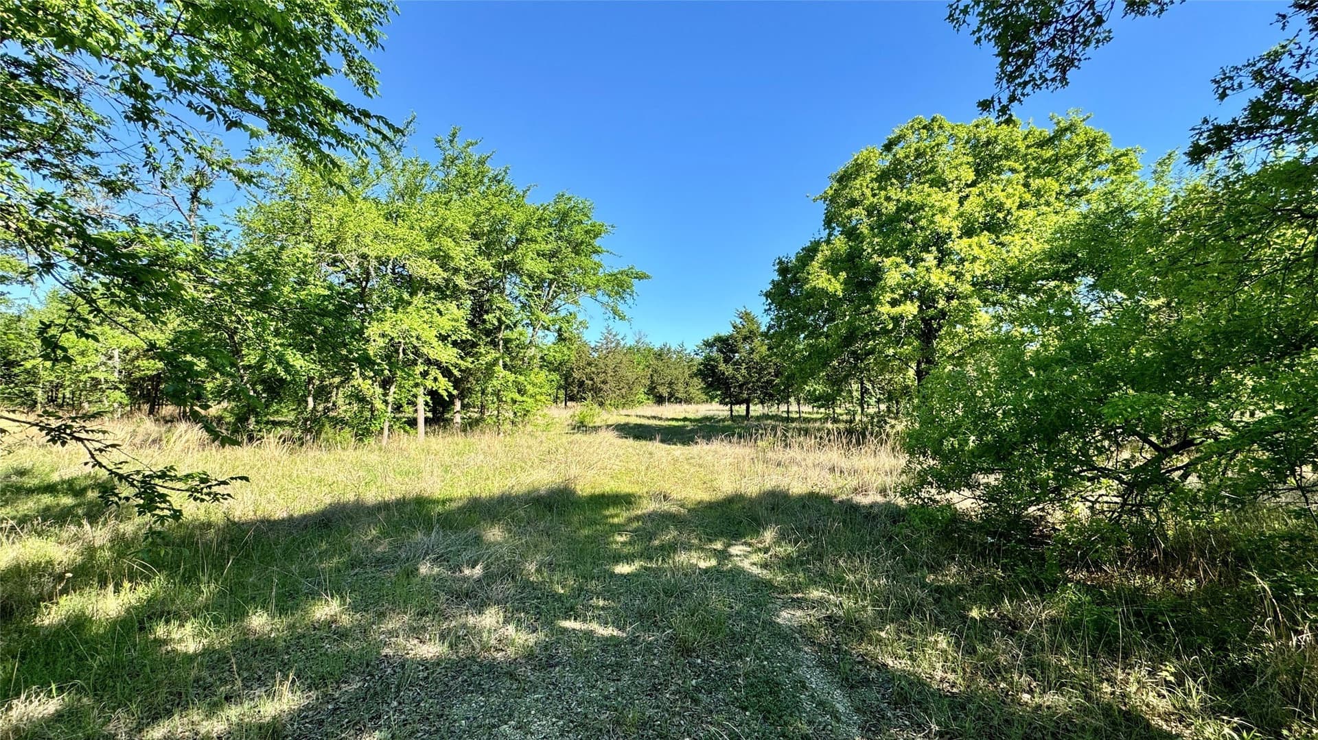 43 acres in Hunt County - photo 6