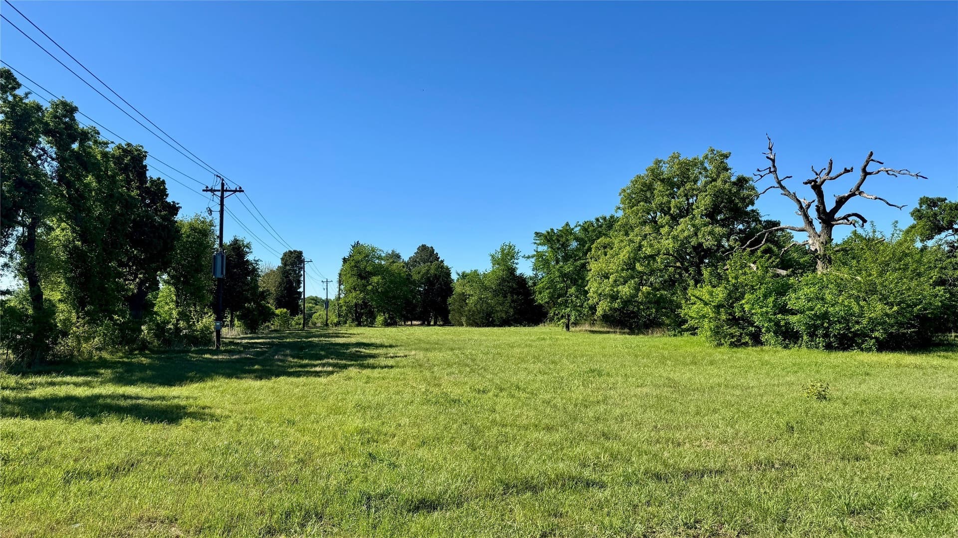 43 acres in Hunt County featured view