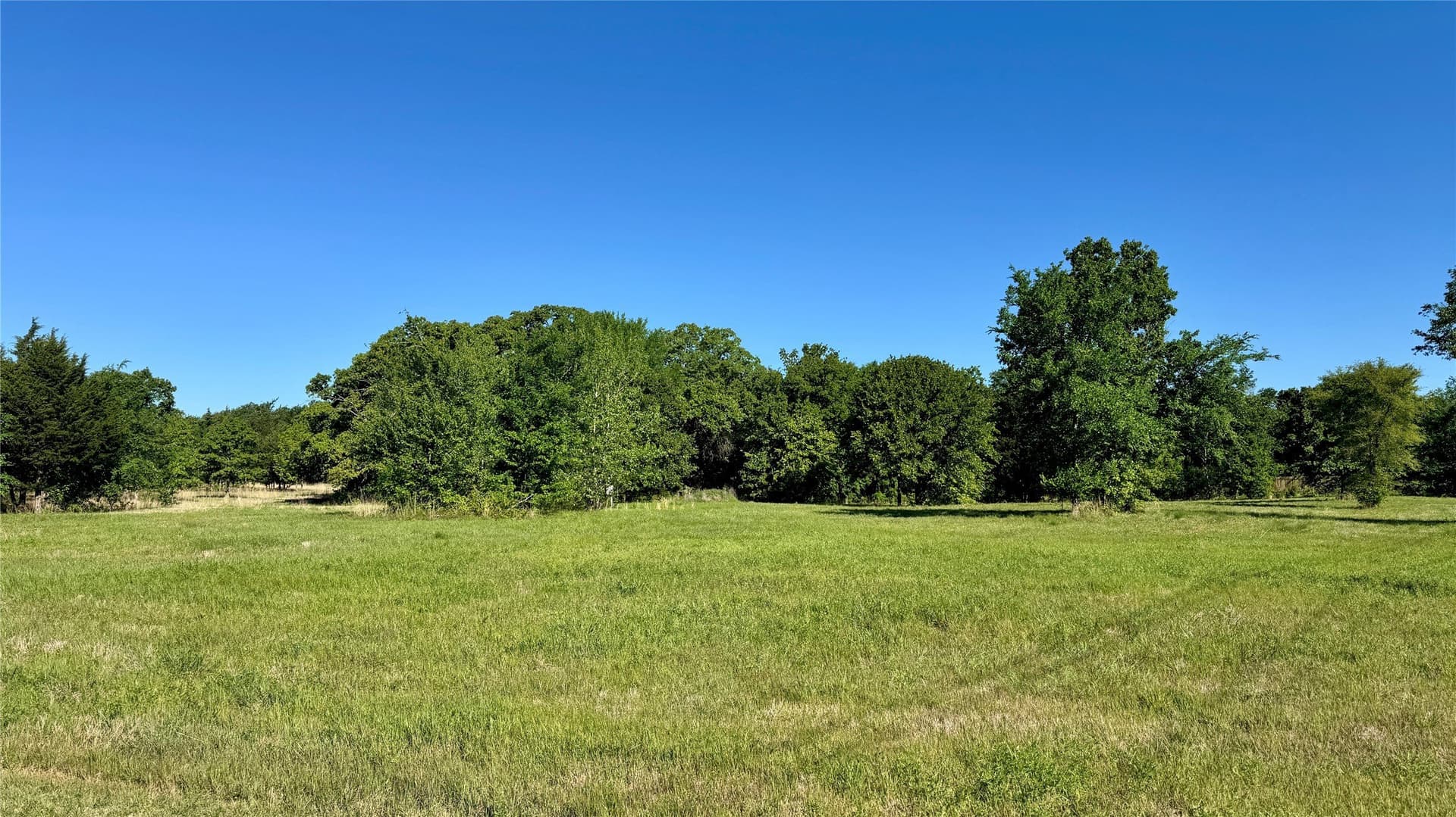 43 acres in Hunt County gallery image 4