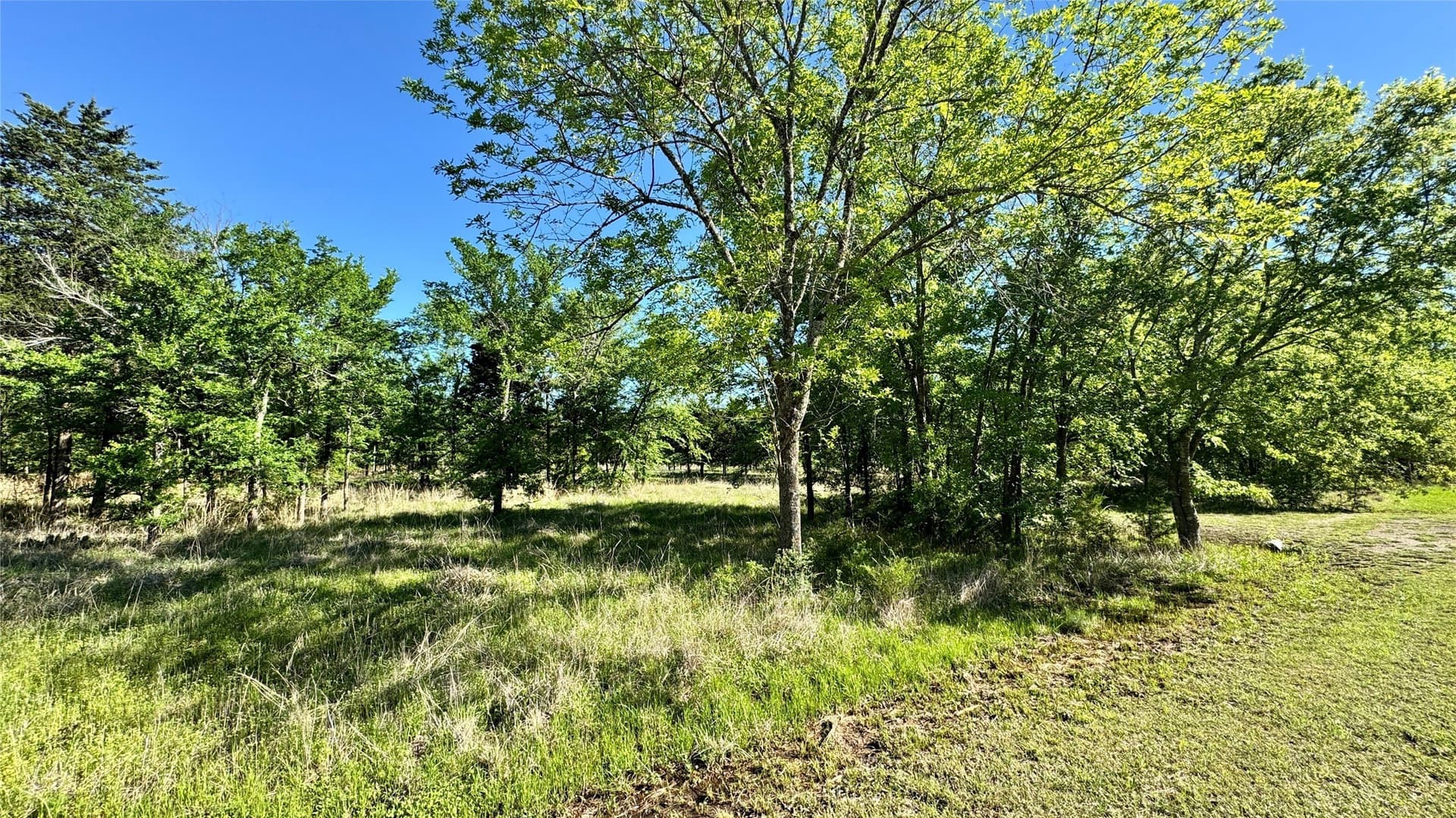 43 acres in Hunt County - photo 10