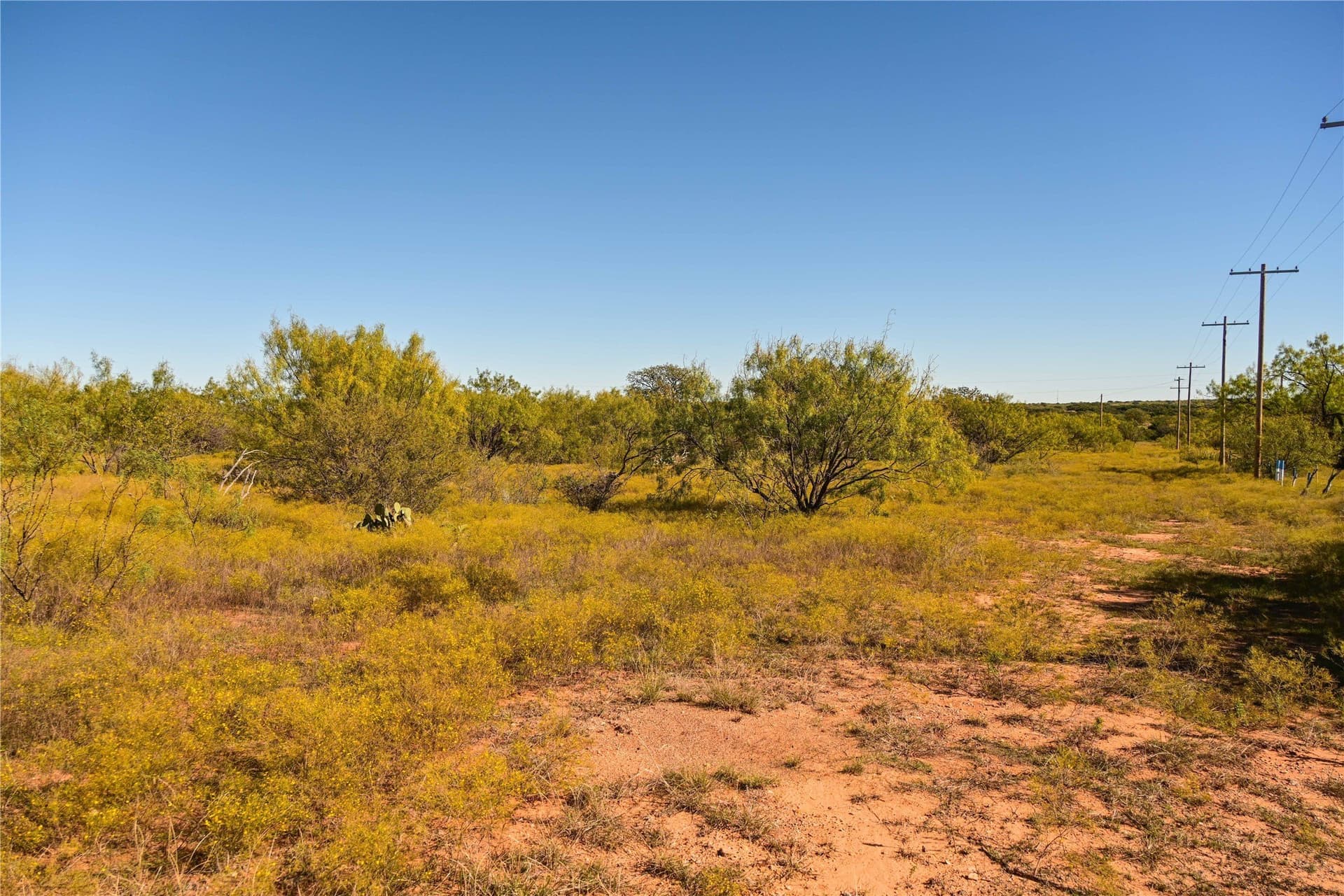 187.79 acres in Shackelford County - photo 9