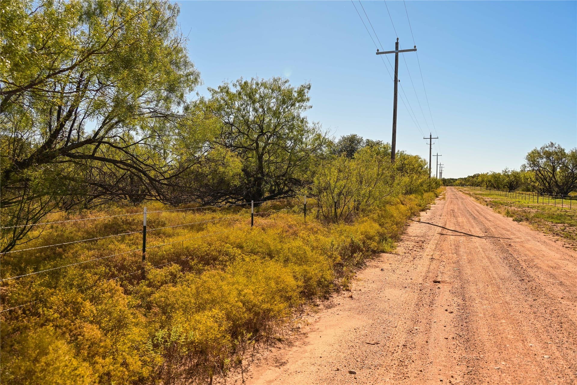 187.79 acres in Shackelford County - photo 8