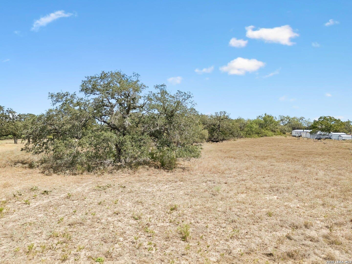 5.3 acres in Wilson County - photo 7