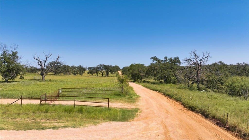 33 acres in Mason County gallery image 4