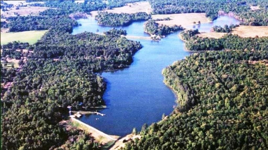 1.04 acres in Henderson County - photo 8