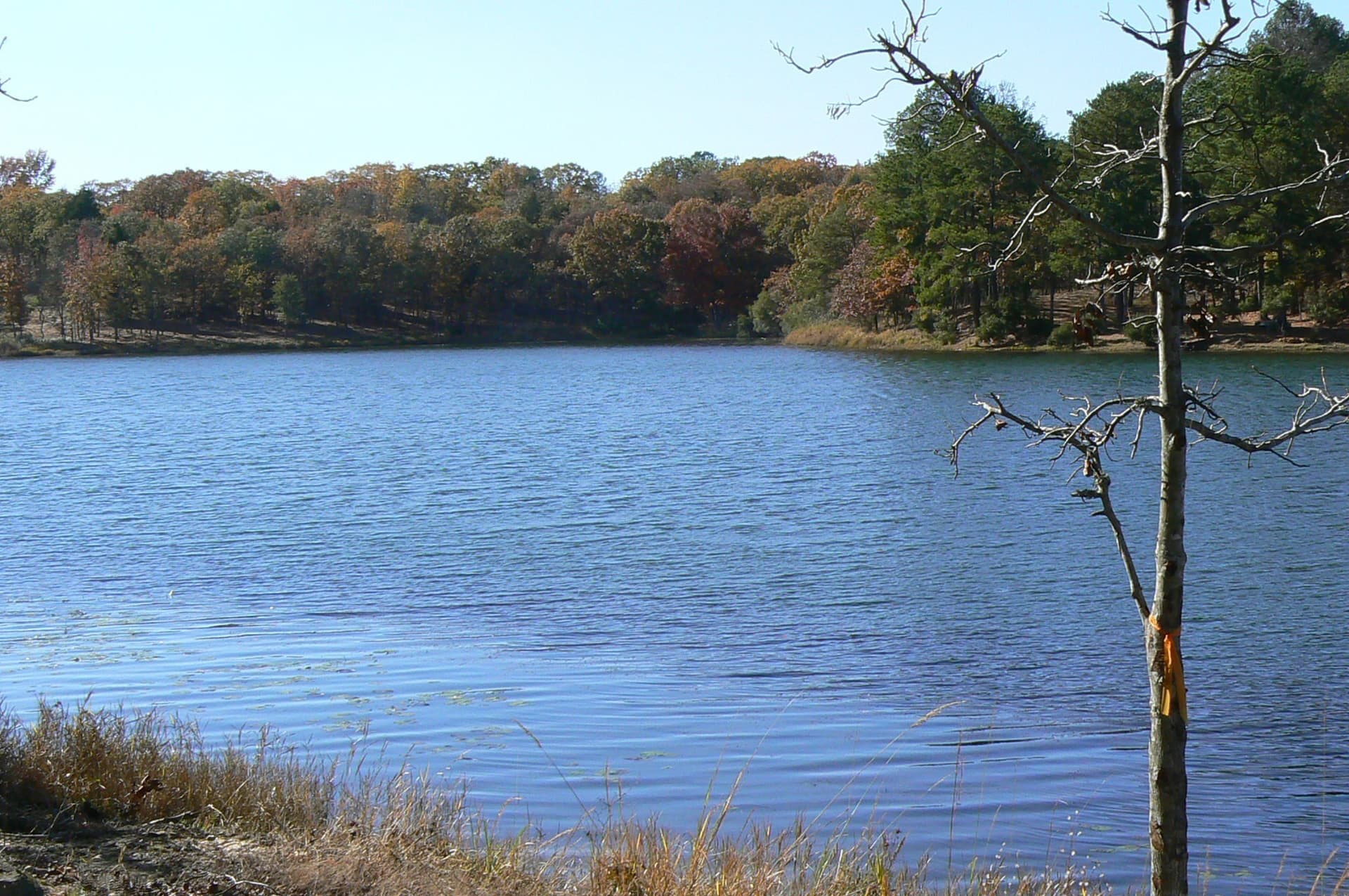 1.04 acres in Henderson County gallery image 3