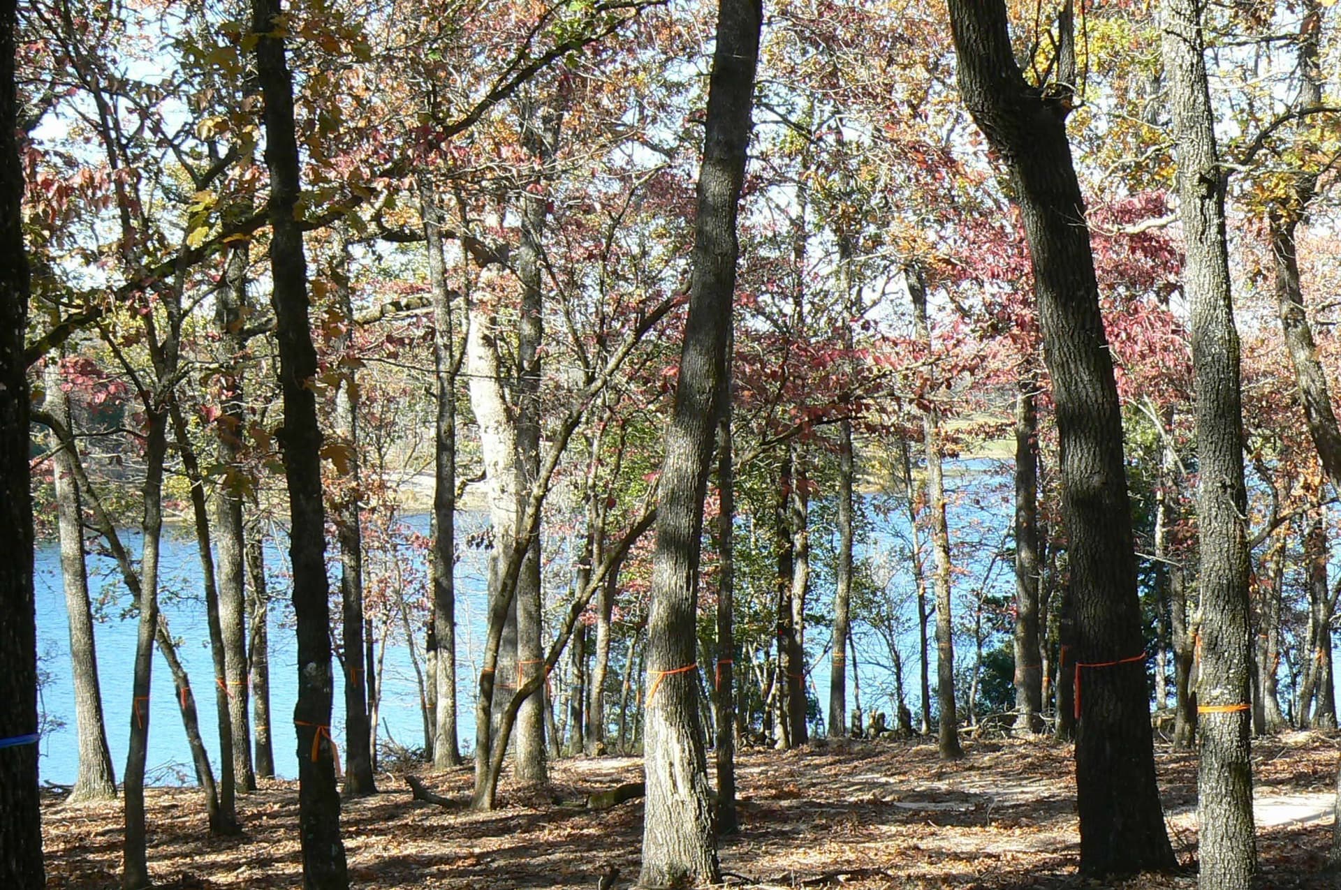 1.04 acres in Henderson County - photo 14
