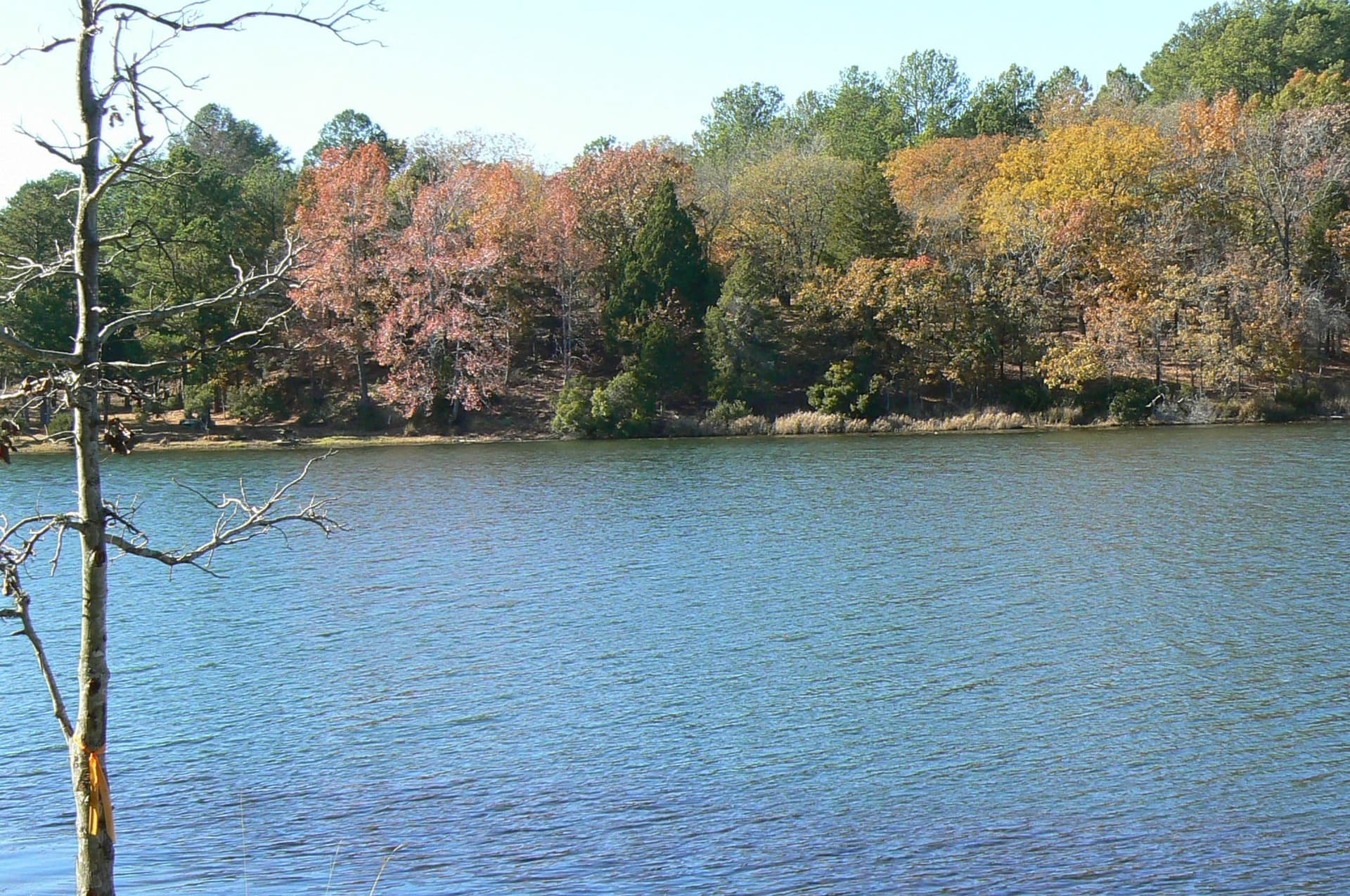 1.04 acres in Henderson County - photo 18