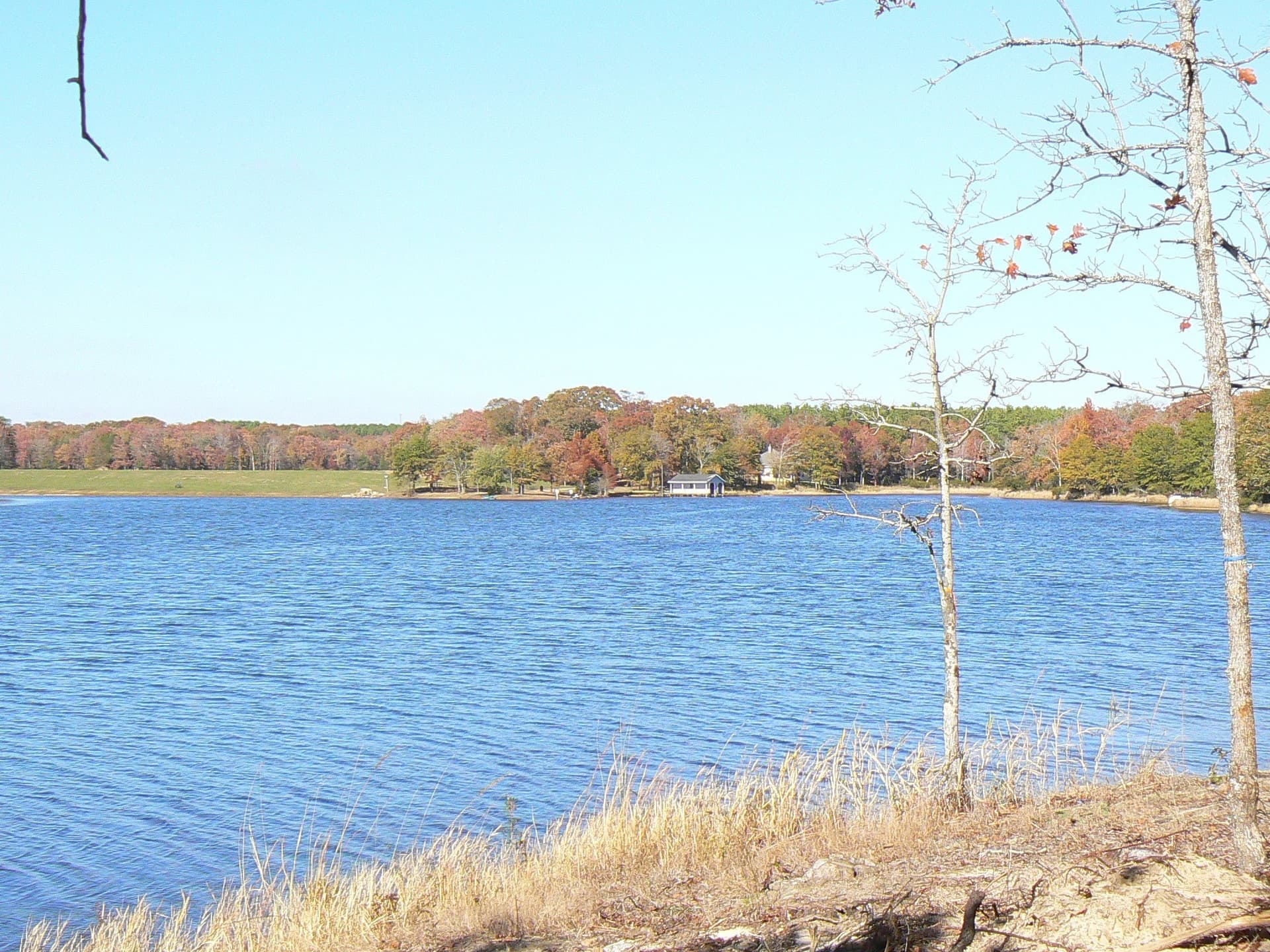 1.04 acres in Henderson County - photo 16
