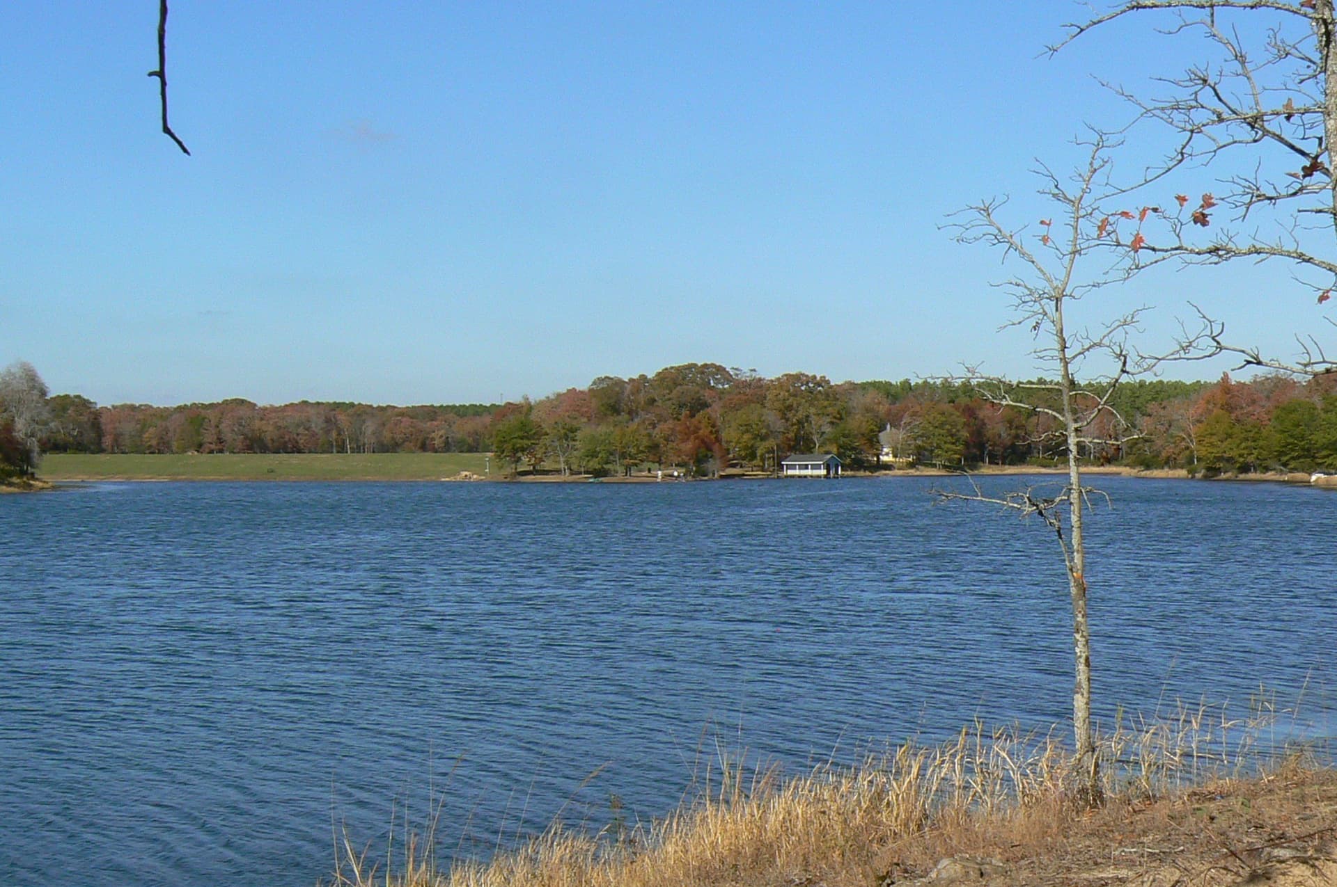 1.04 acres in Henderson County gallery image 4