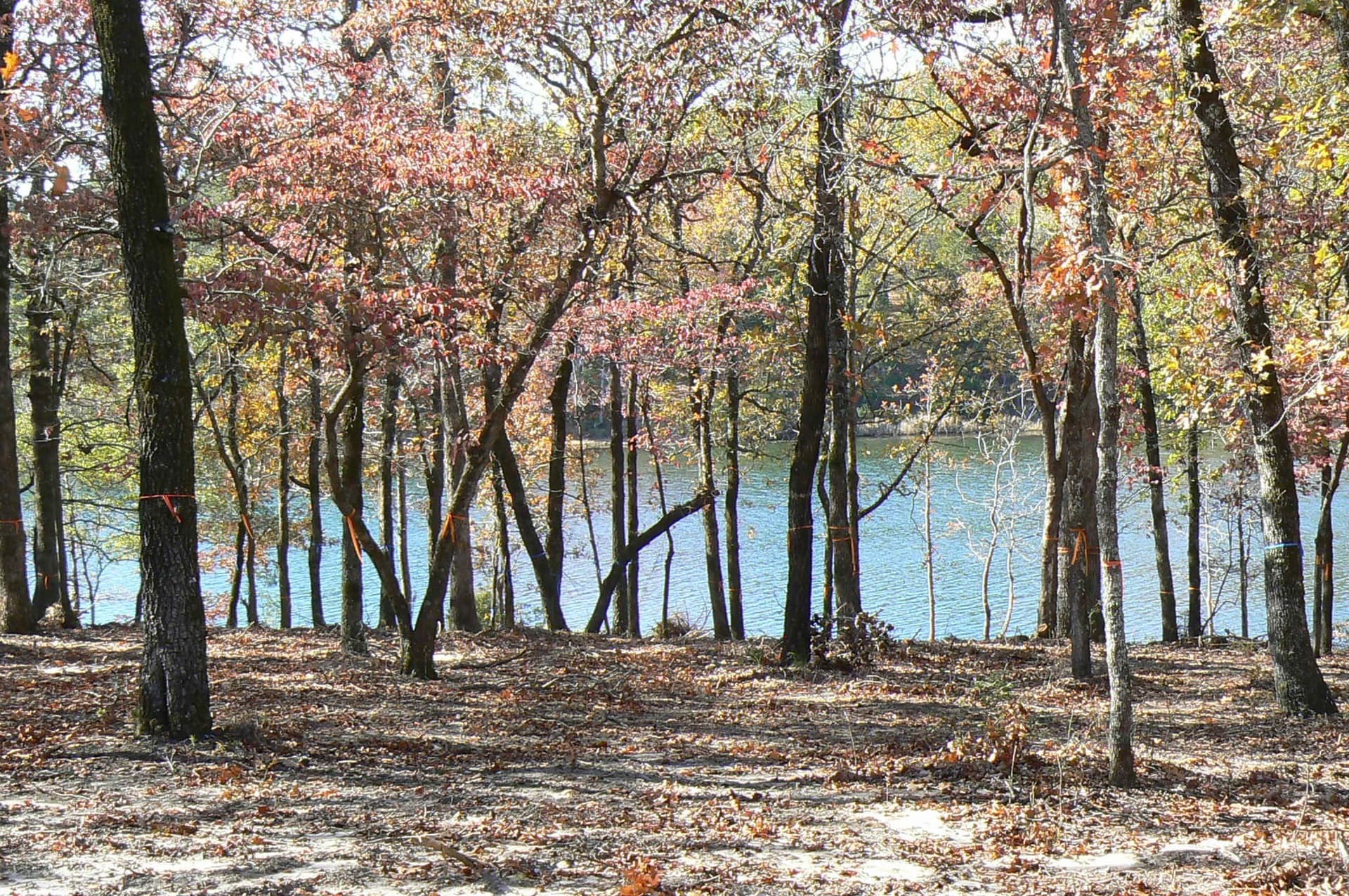 1.04 acres in Henderson County - photo 24