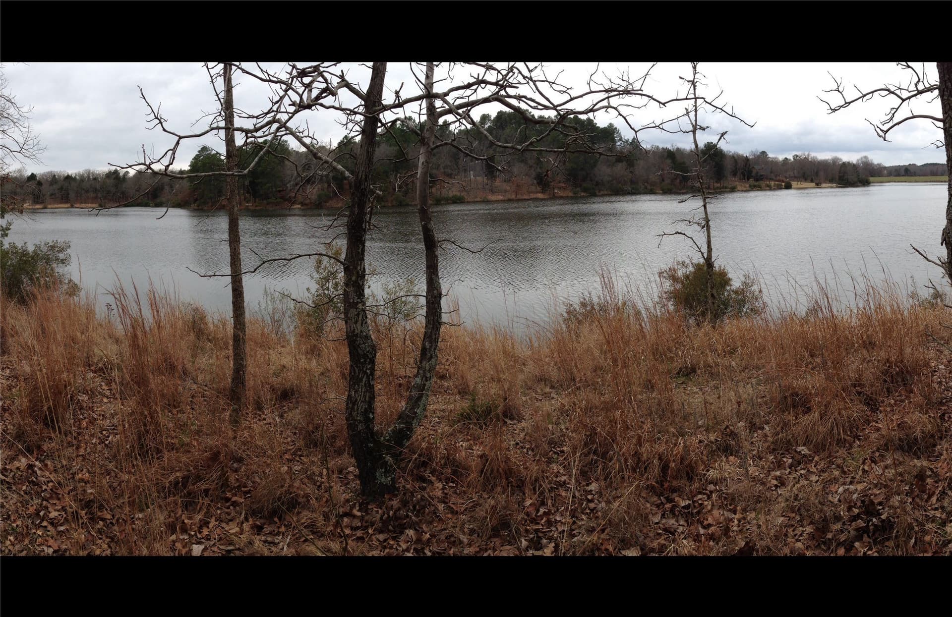 1.04 acres in Henderson County gallery image 2