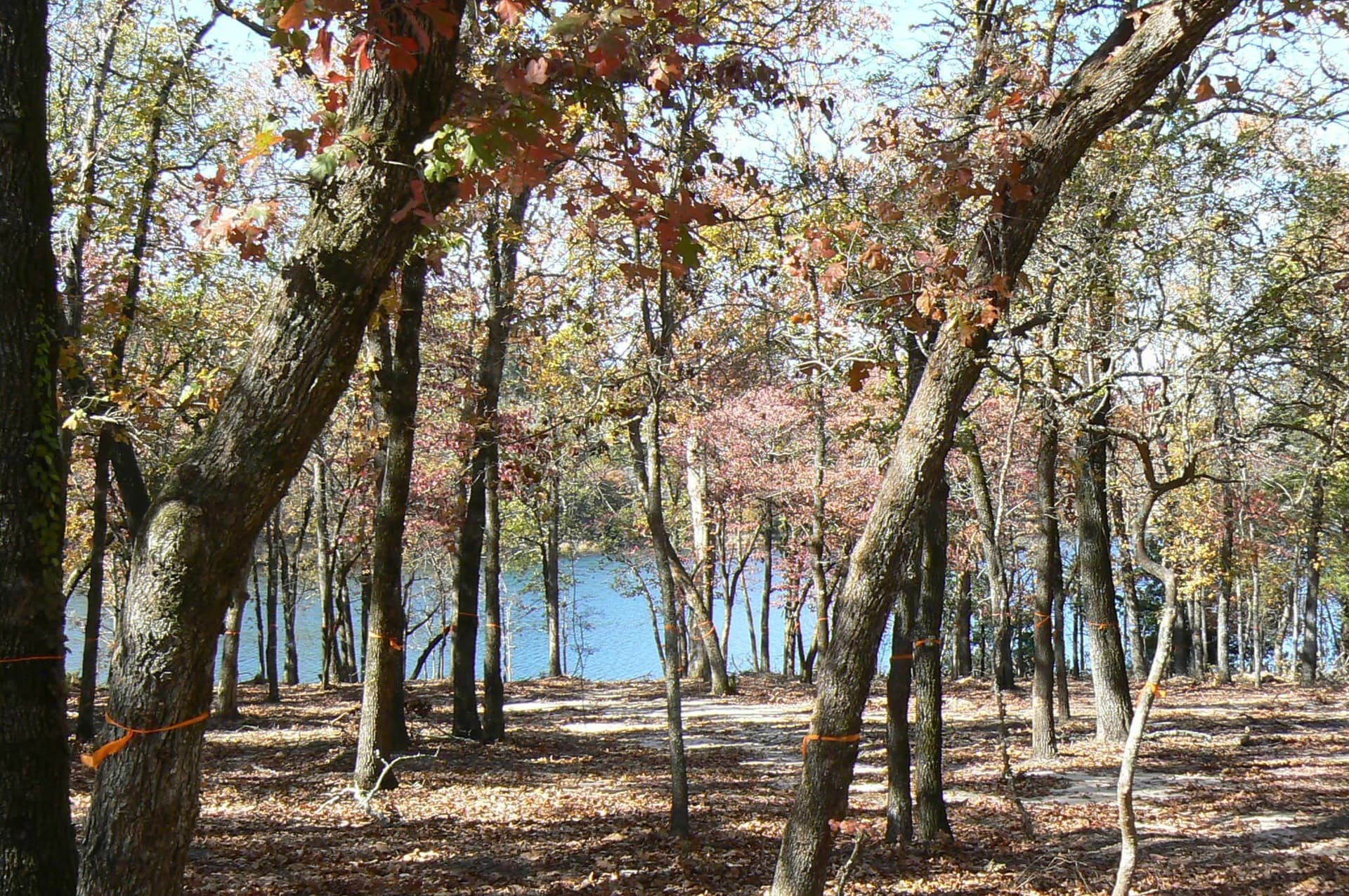 1.04 acres in Henderson County - photo 6