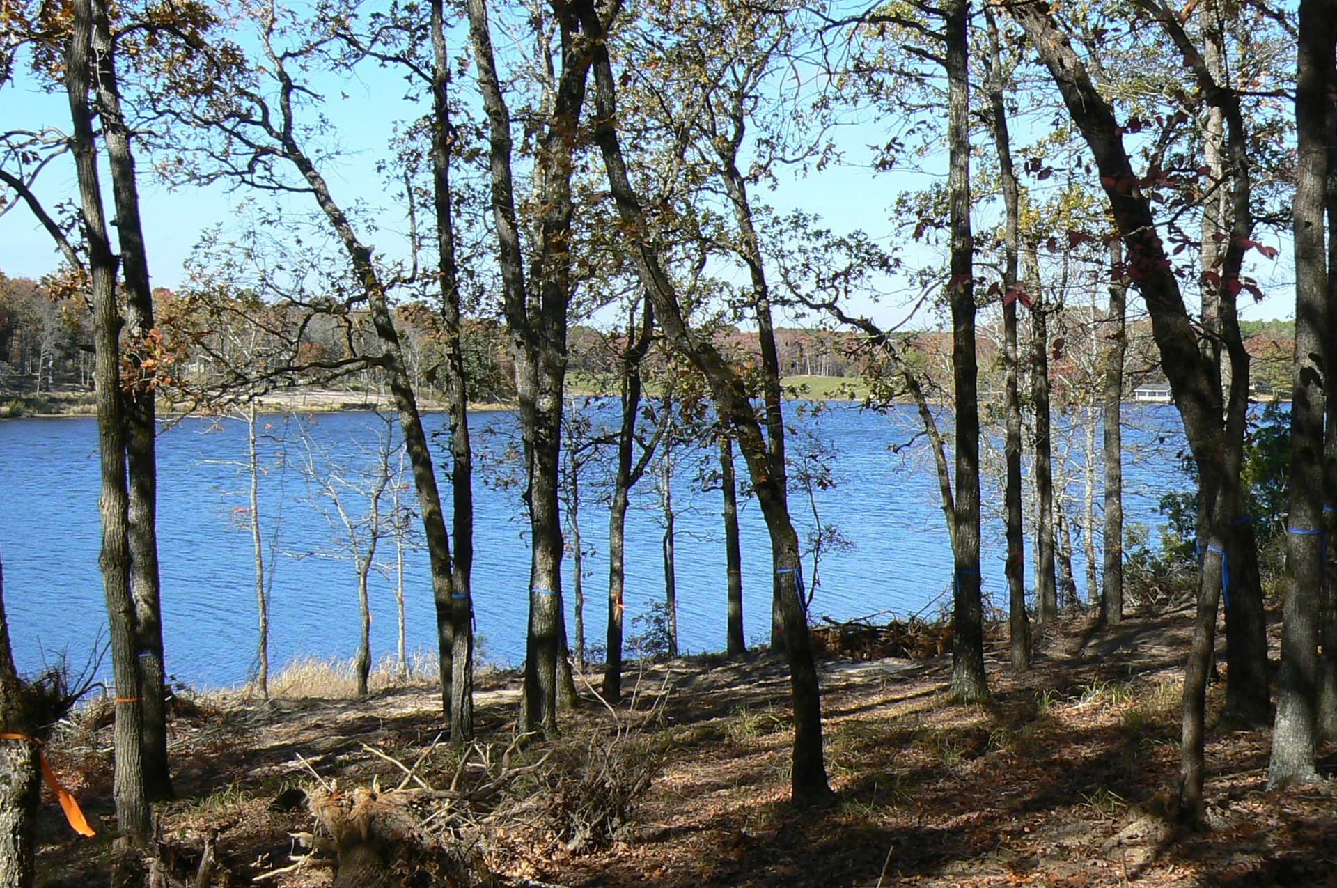 1.04 acres in Henderson County - photo 15