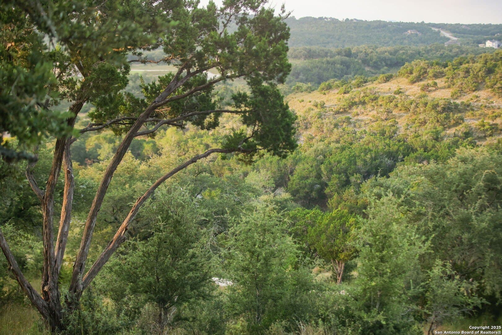 12.58 acres in Comal County - photo 78
