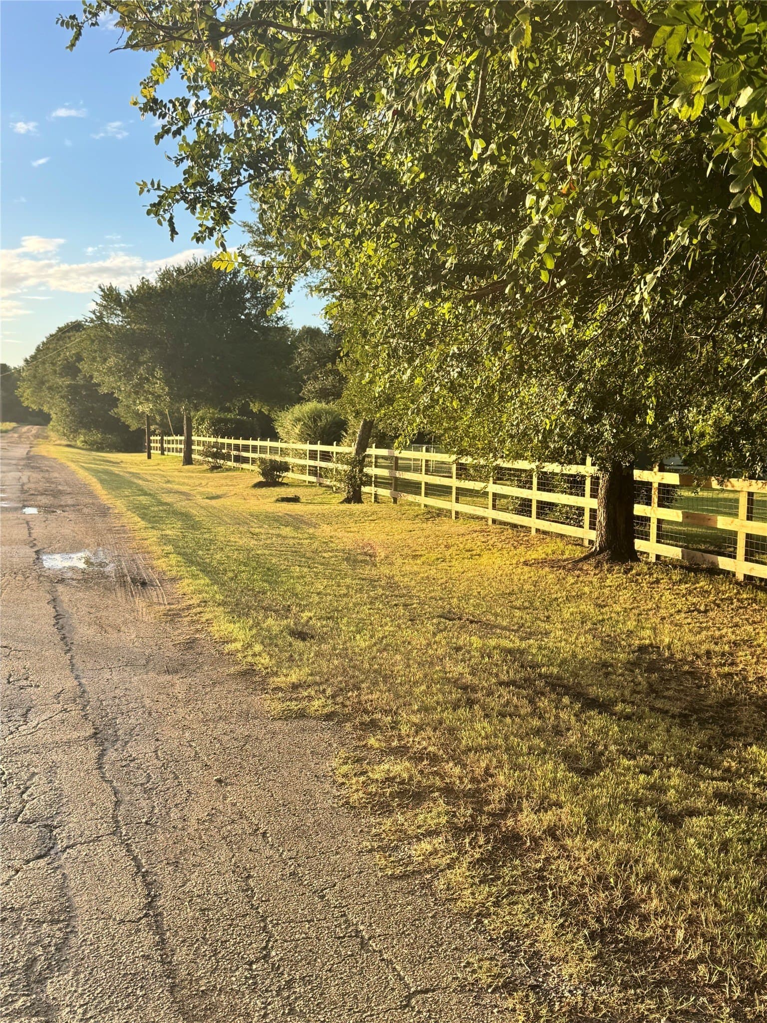 15.39 acres in Navarro County - photo 21