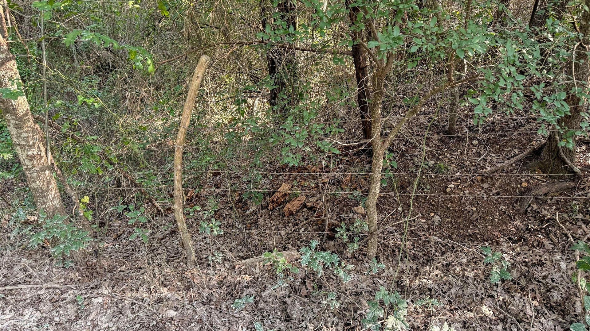 2.15 acres in McLennan County - photo 21