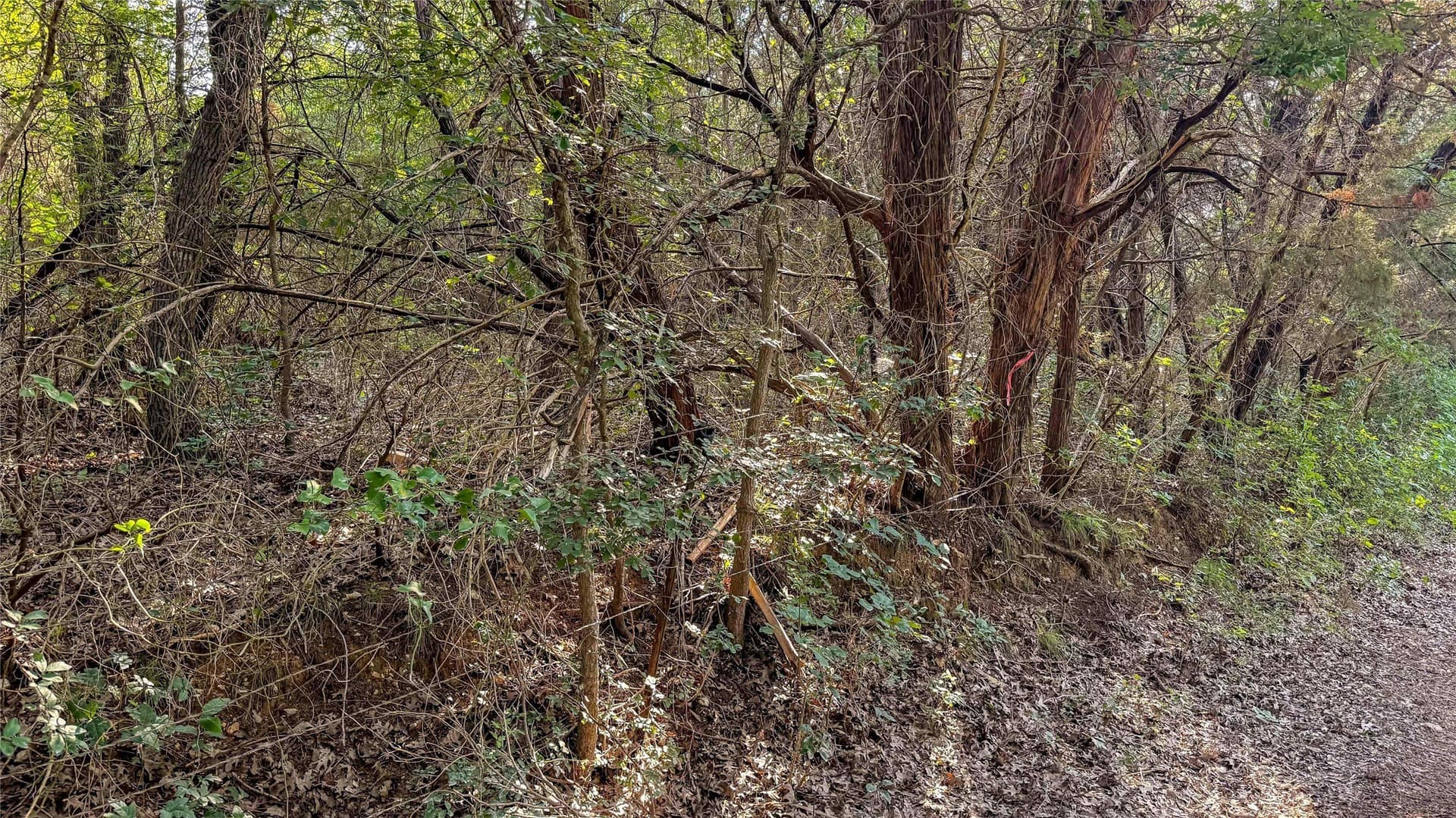 2.15 acres in McLennan County - photo 20