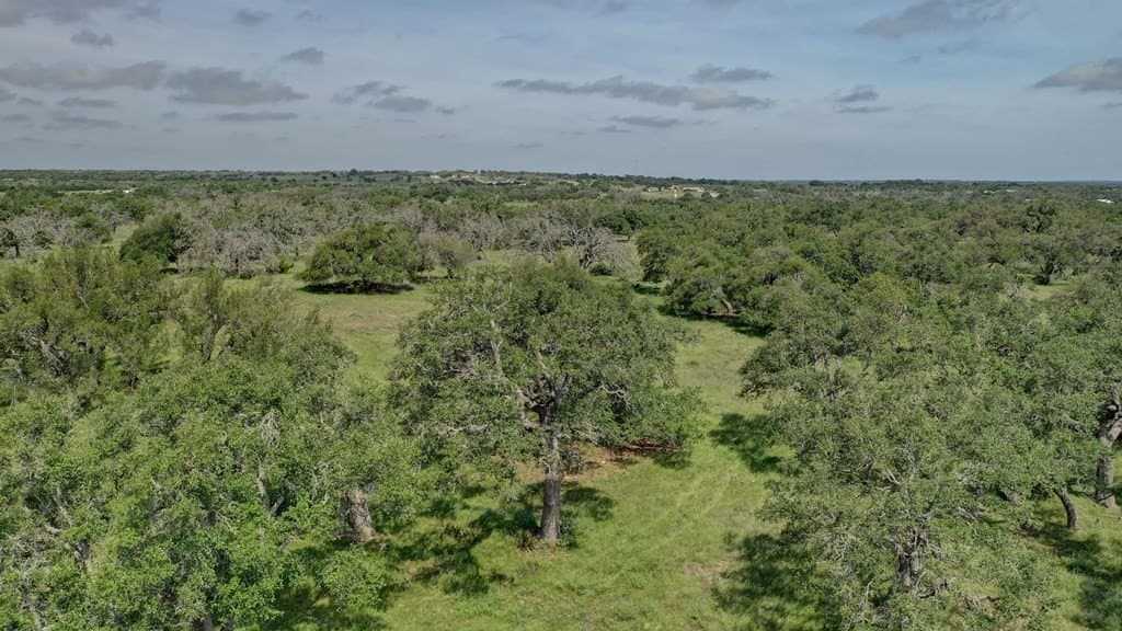 37.66 acres in Gillespie County - photo 53